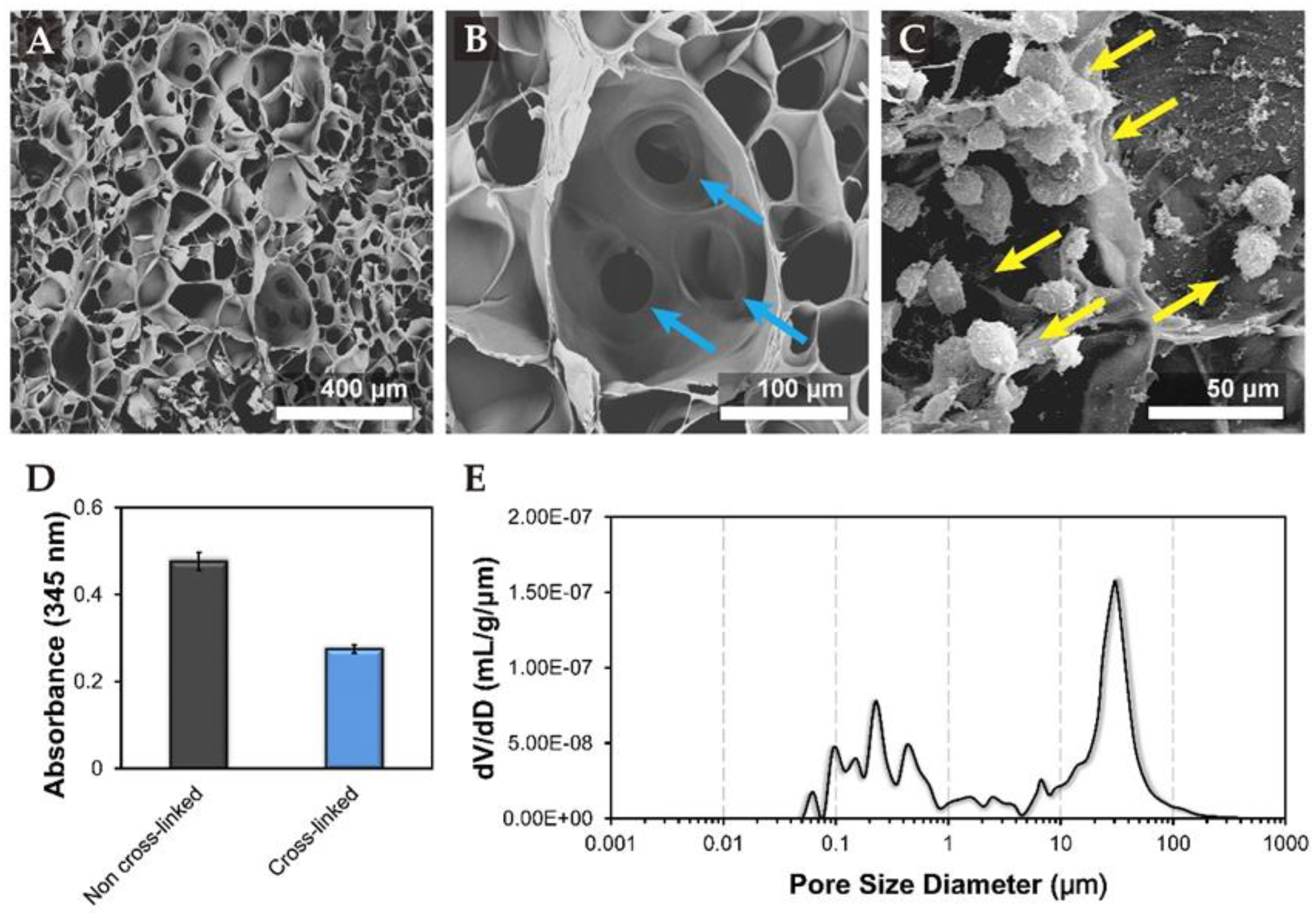 Biomolecules 11 00115 g001 Biomolecules 11 00115 g001