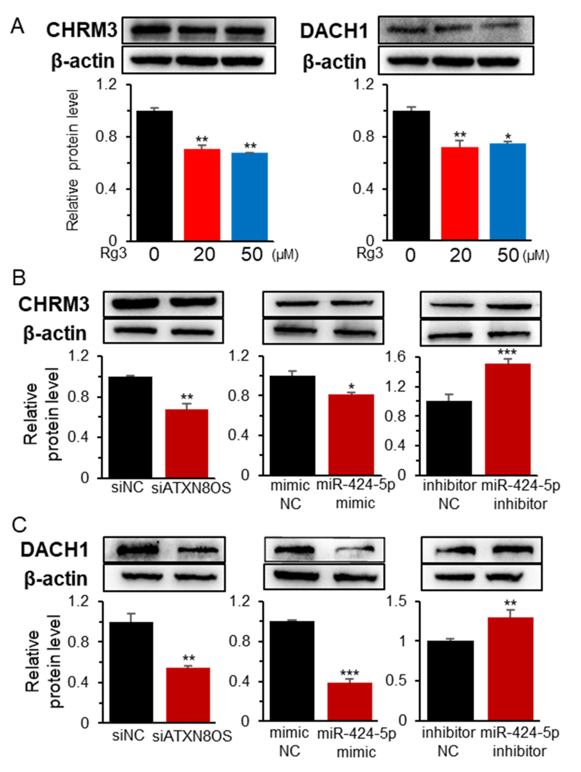 Biomolecules 11 00118 g005 Biomolecules 11 00118 g005