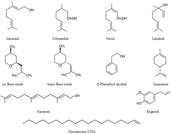 Biomolecules Free Full Text Rose Flowers A Delicate Perfume Or A Natural Healer Html