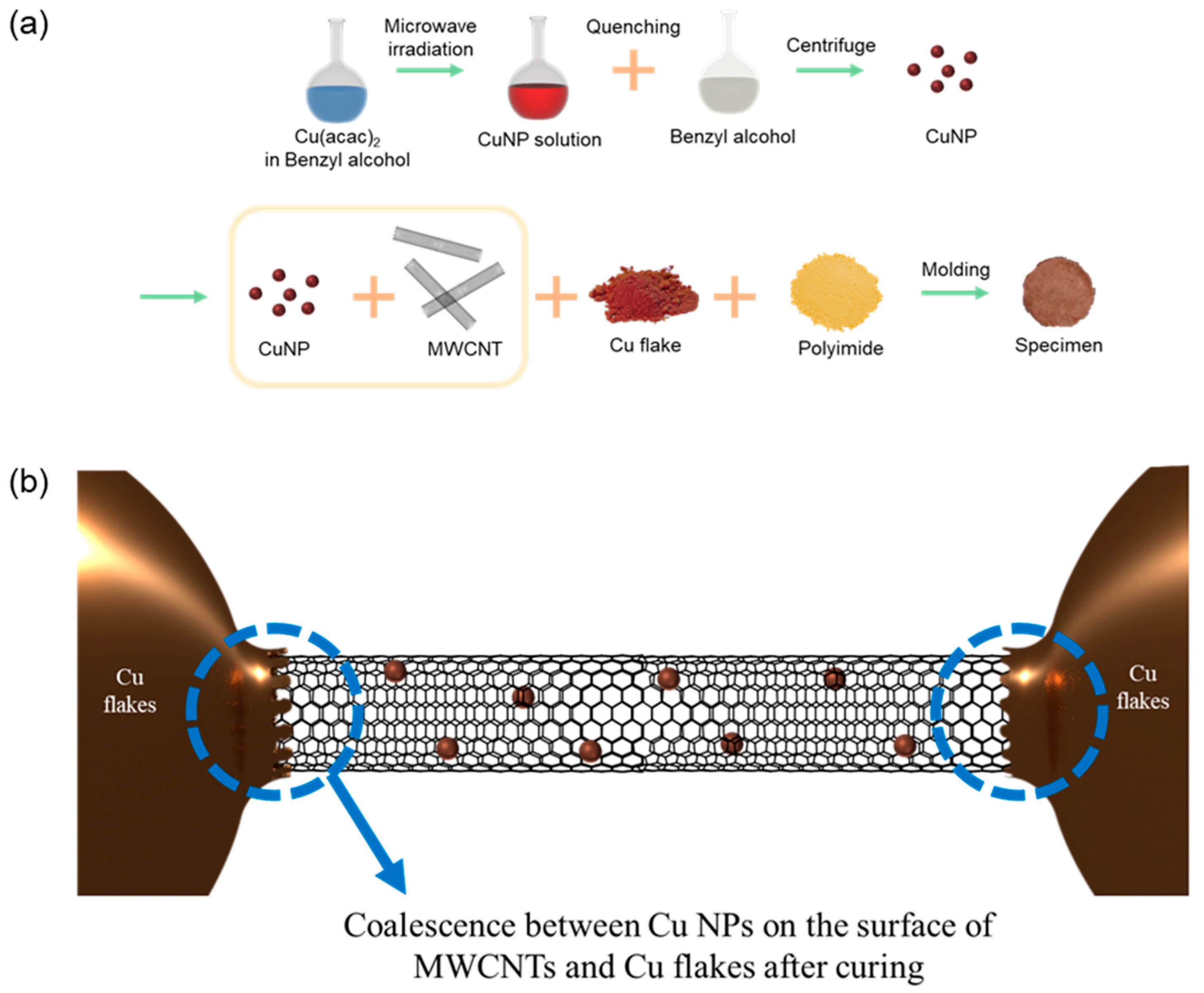 Biomolecules 11 00132 g001