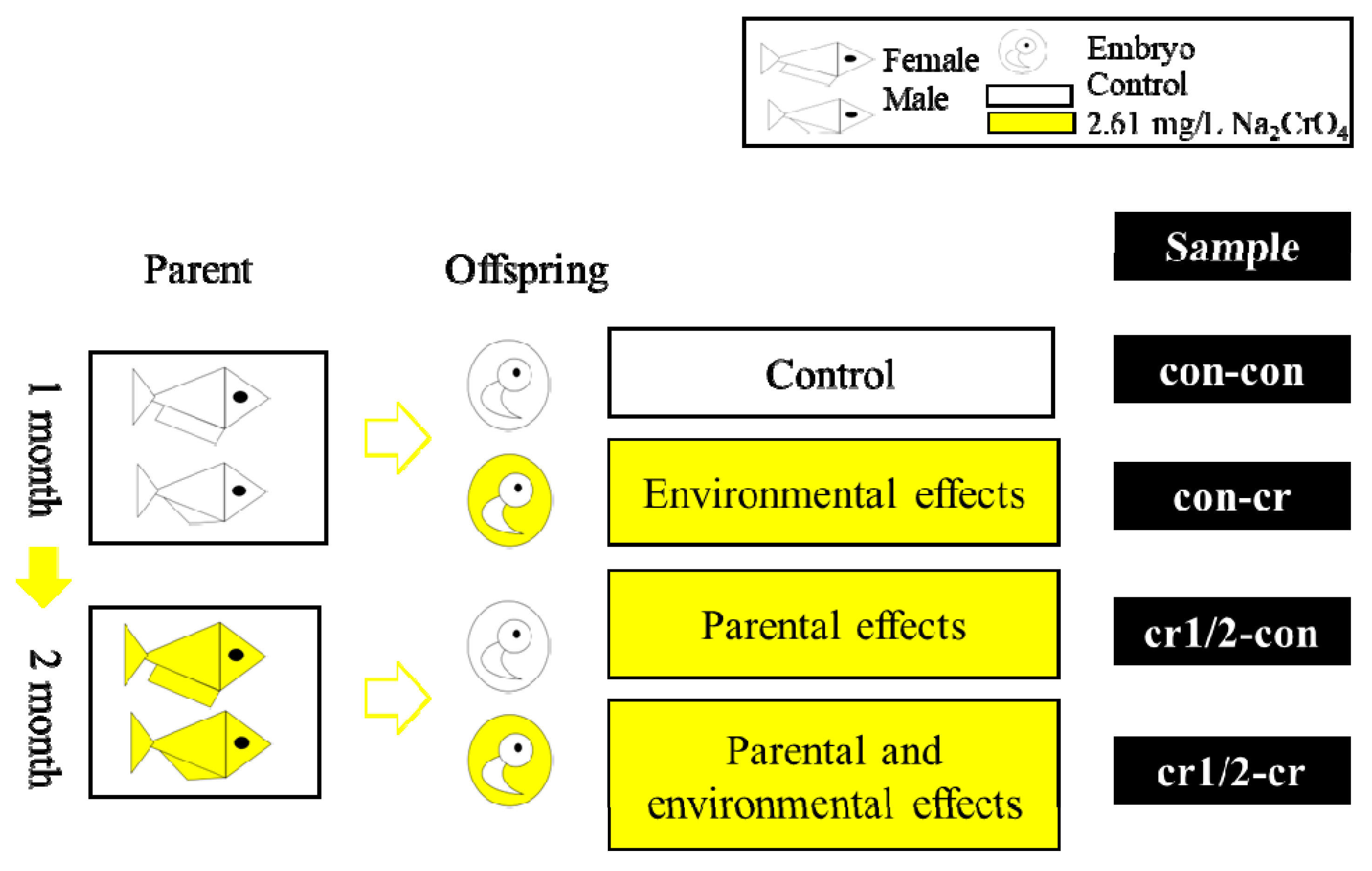 Biomolecules 11 00138 g001