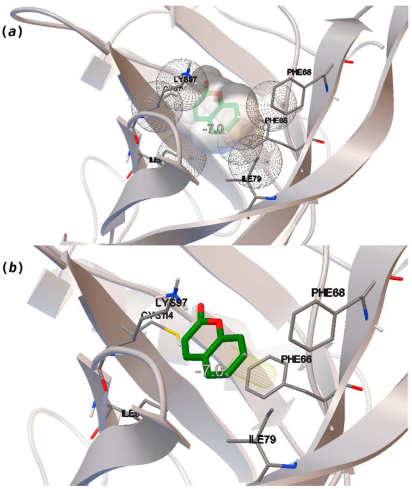 Biomolecules 11 00145 g003