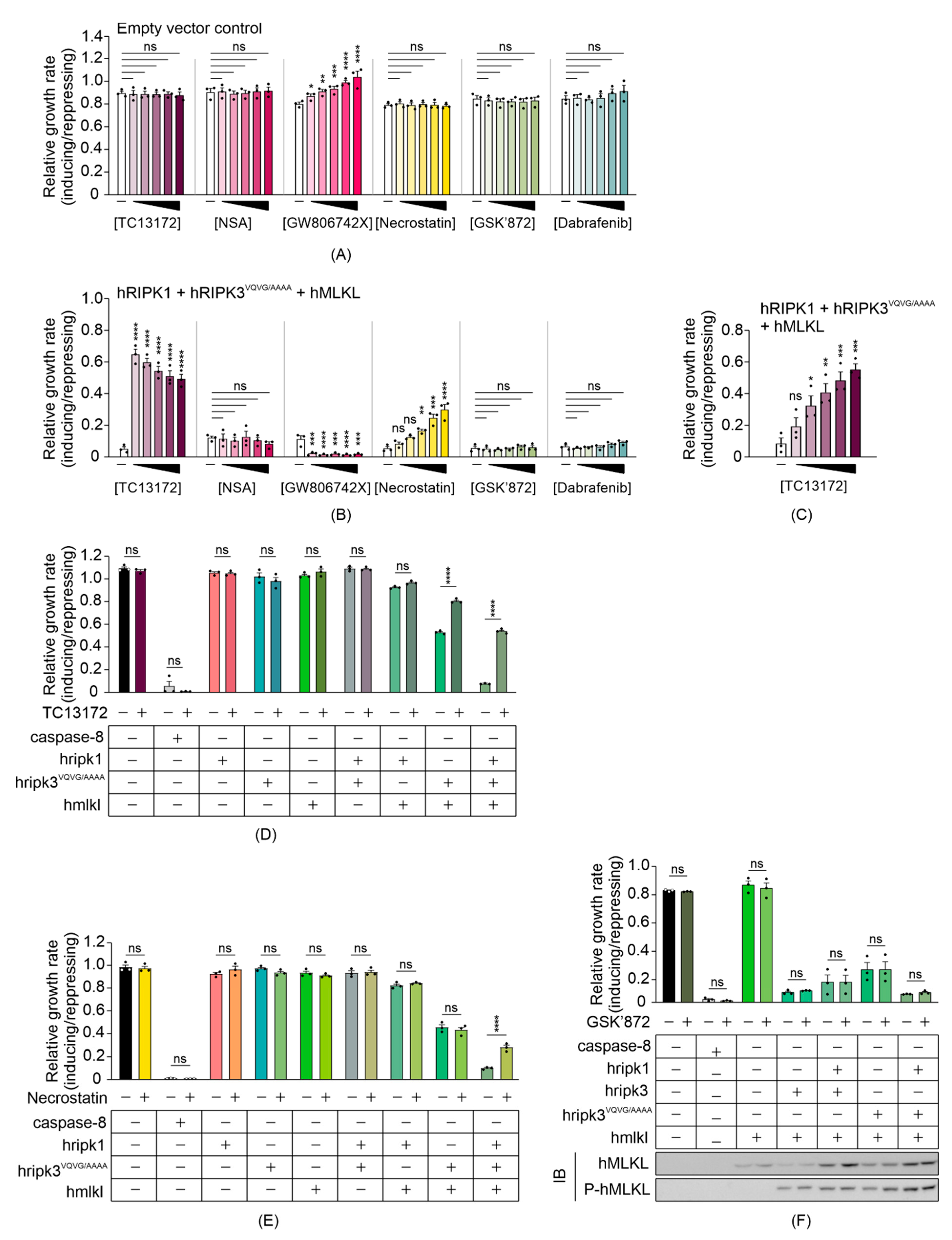 Biomolecules 11 00153 g004
