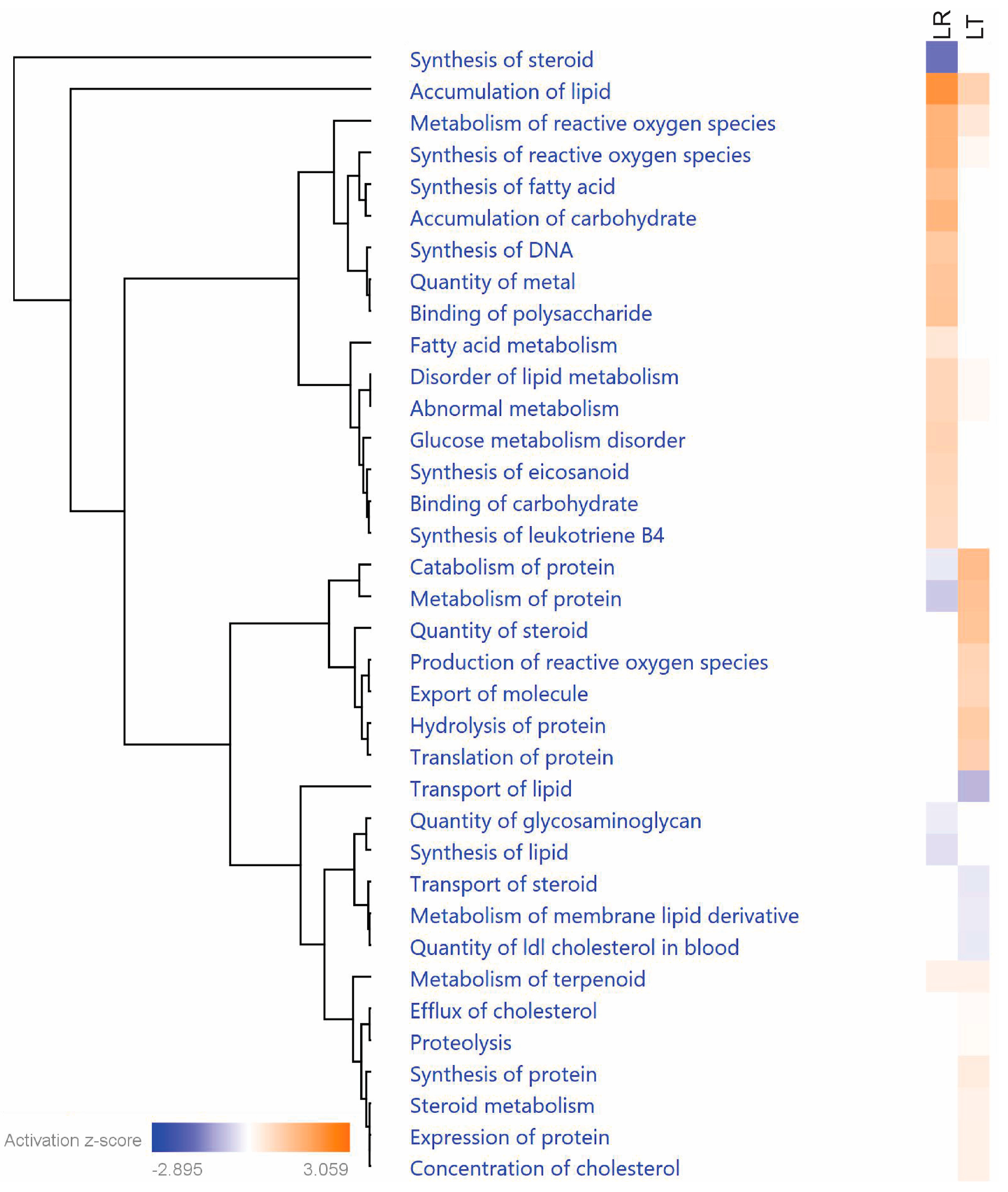 Biomolecules 11 00164 g007