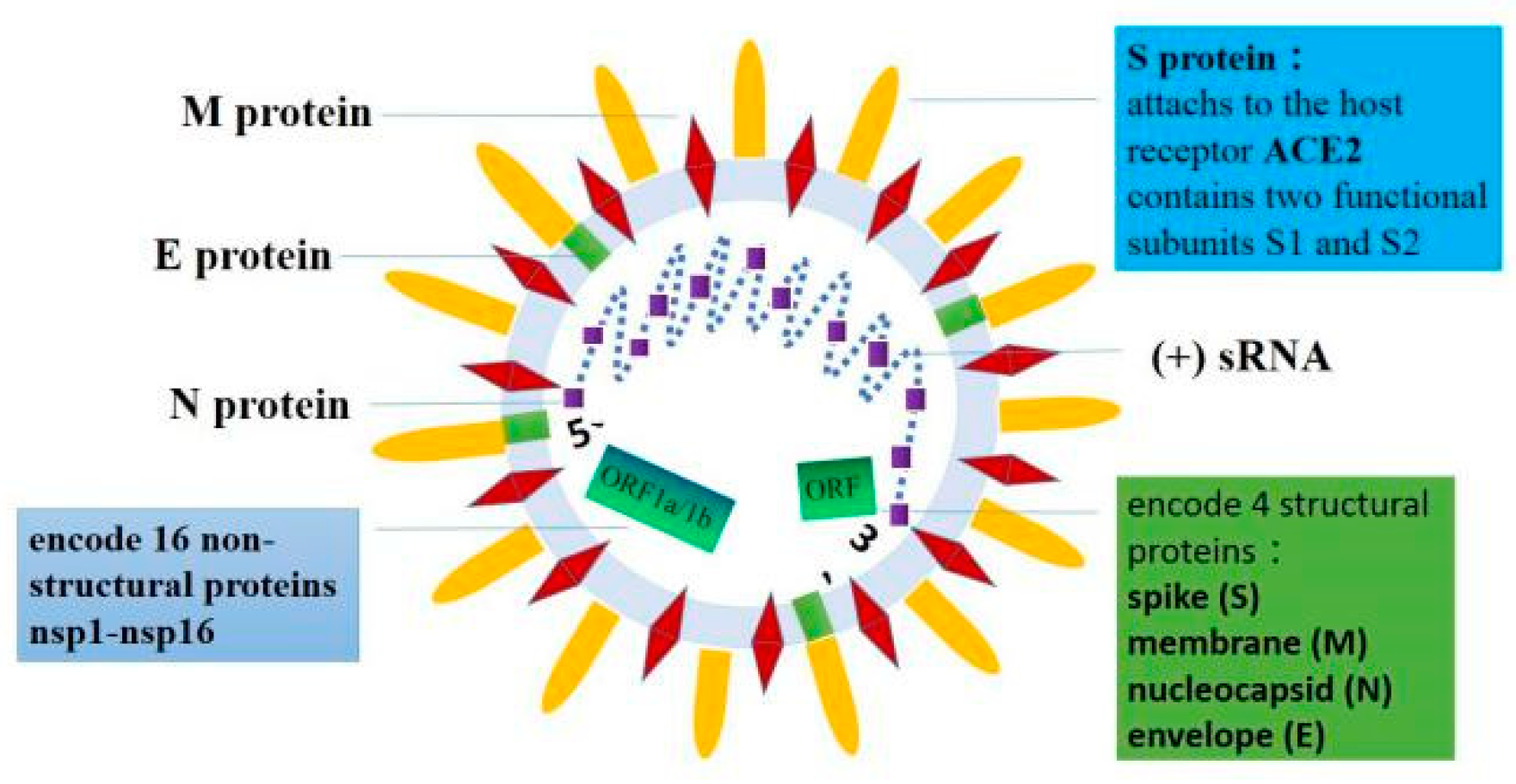 Biomolecules 11 00196 g001