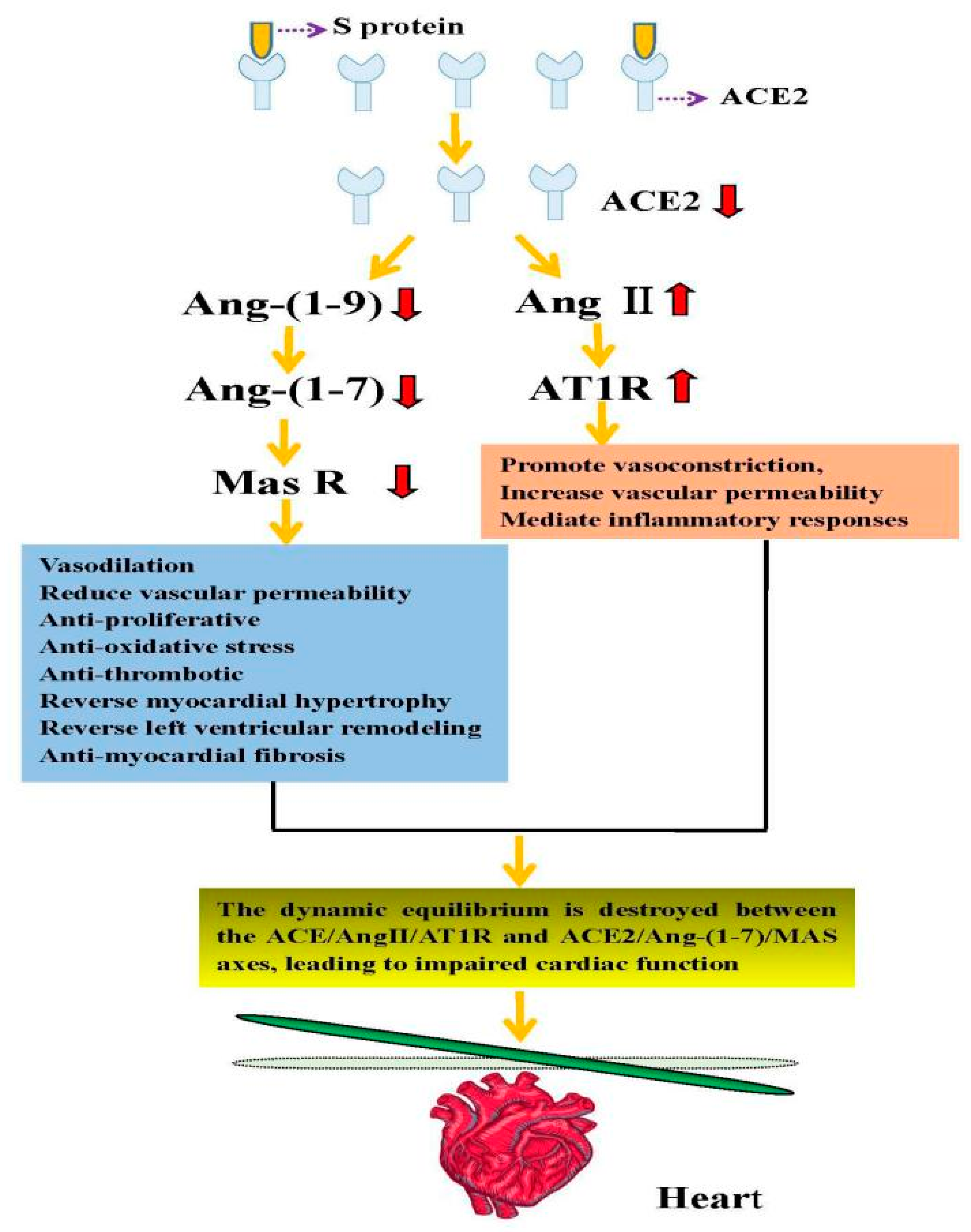 Biomolecules 11 00196 g002