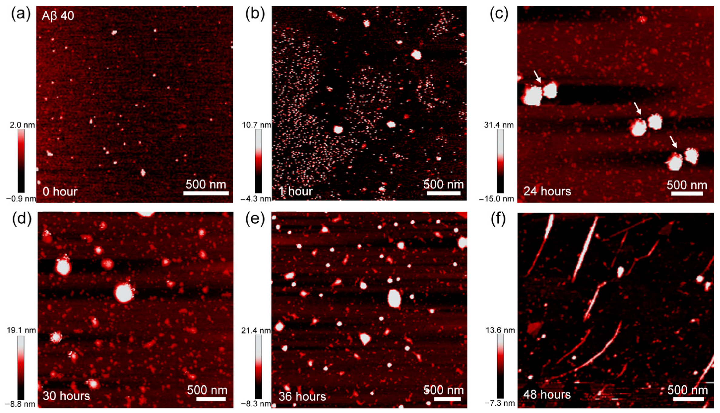 Biomolecules 11 00198 g003