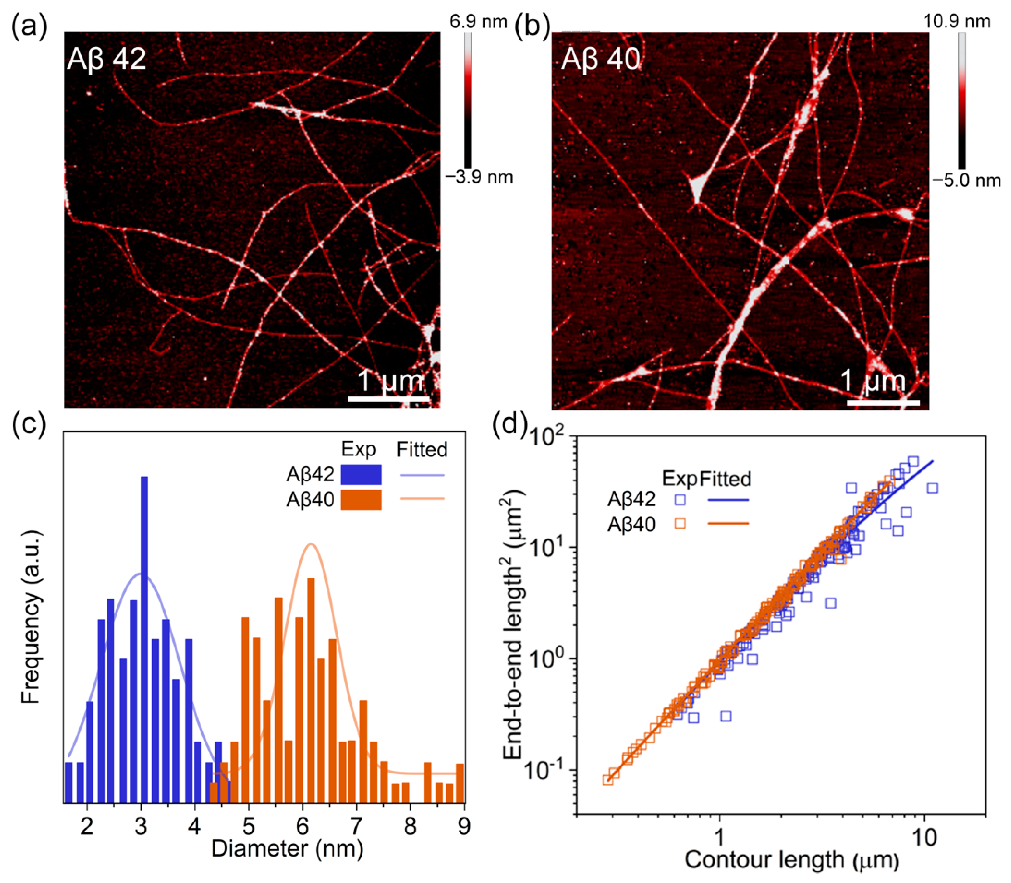 Biomolecules 11 00198 g004