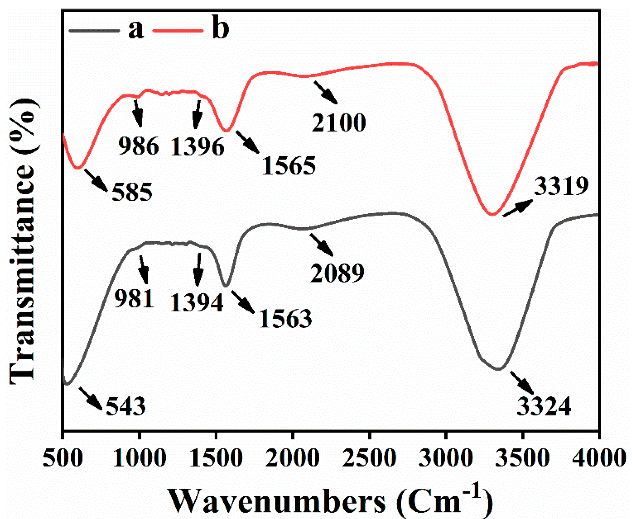 Biomolecules 11 00206 g003