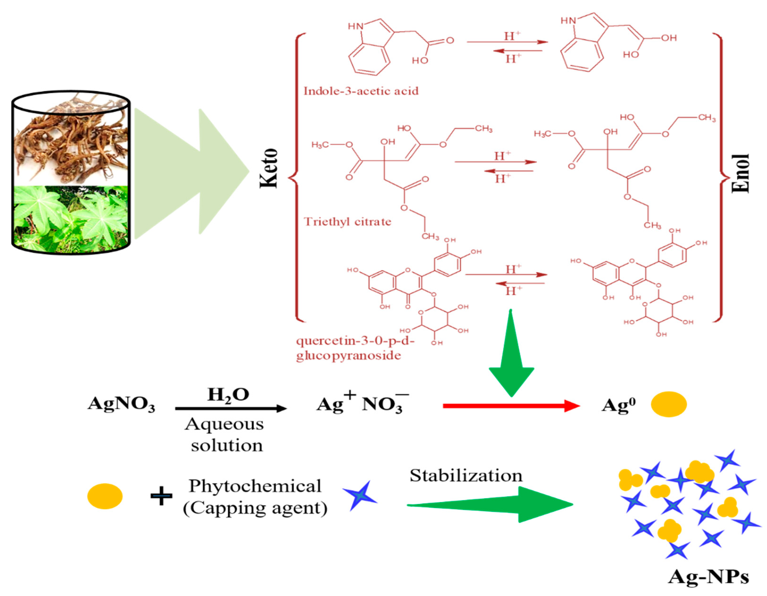 Biomolecules 11 00206 sch001