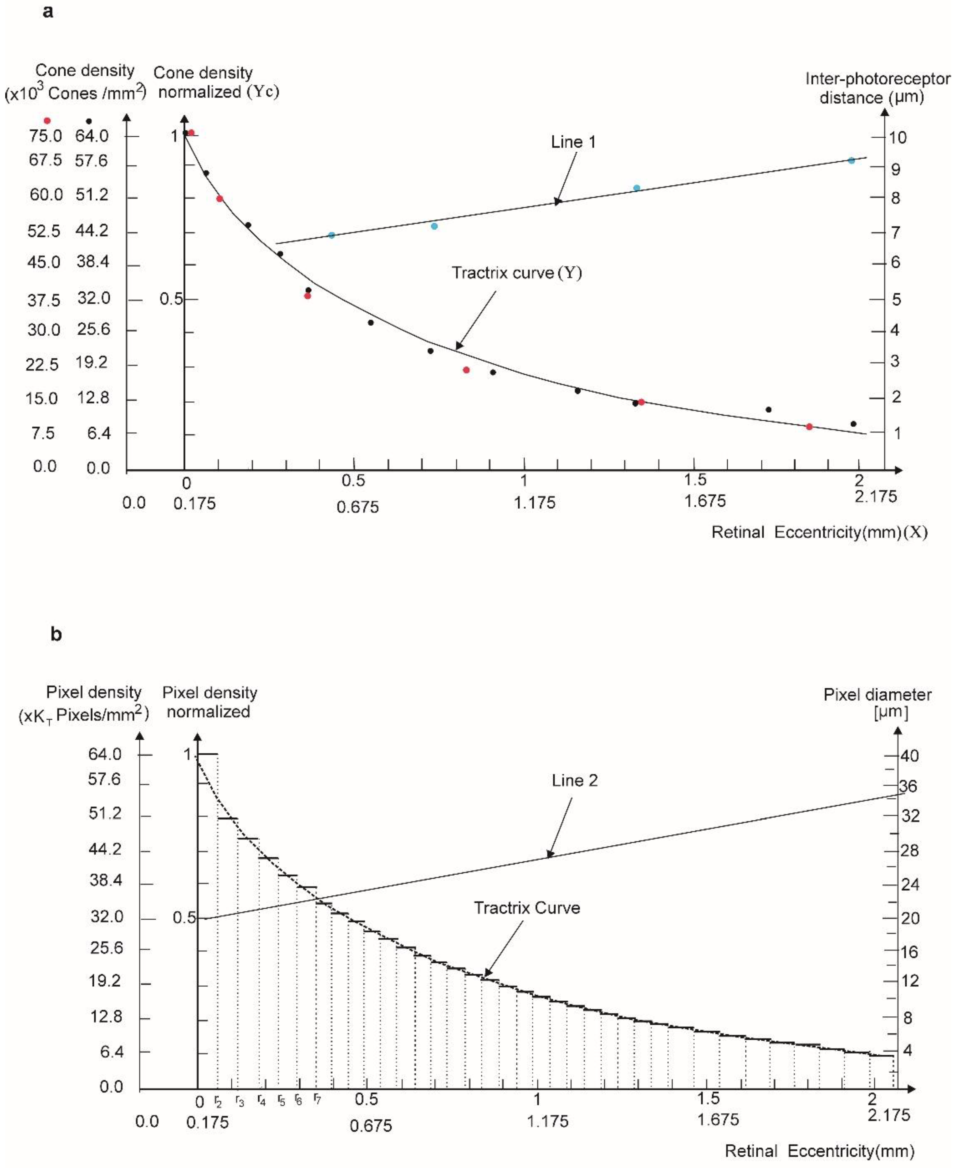 Biomolecules 11 00215 g002