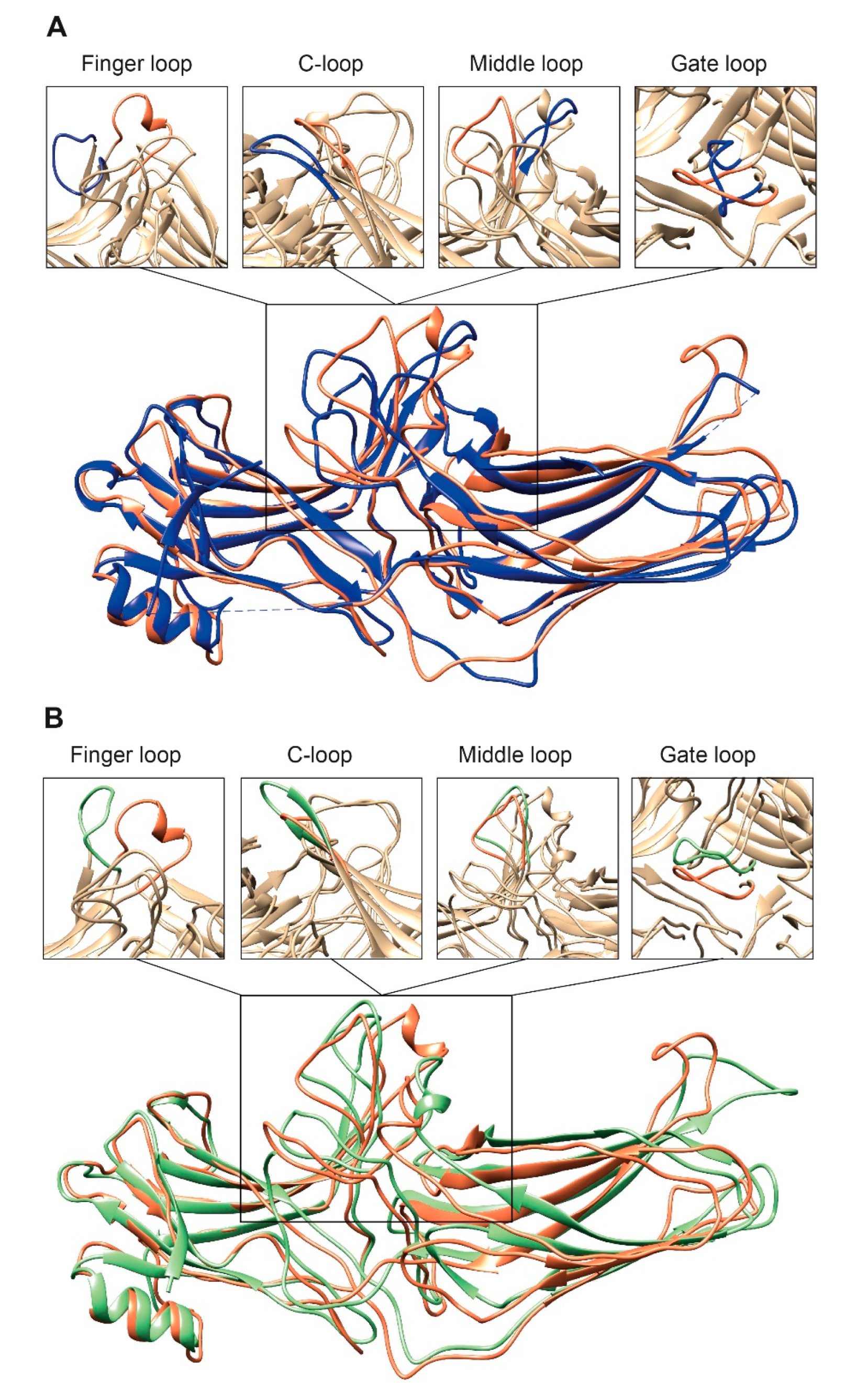 Biomolecules 11 00218 g002