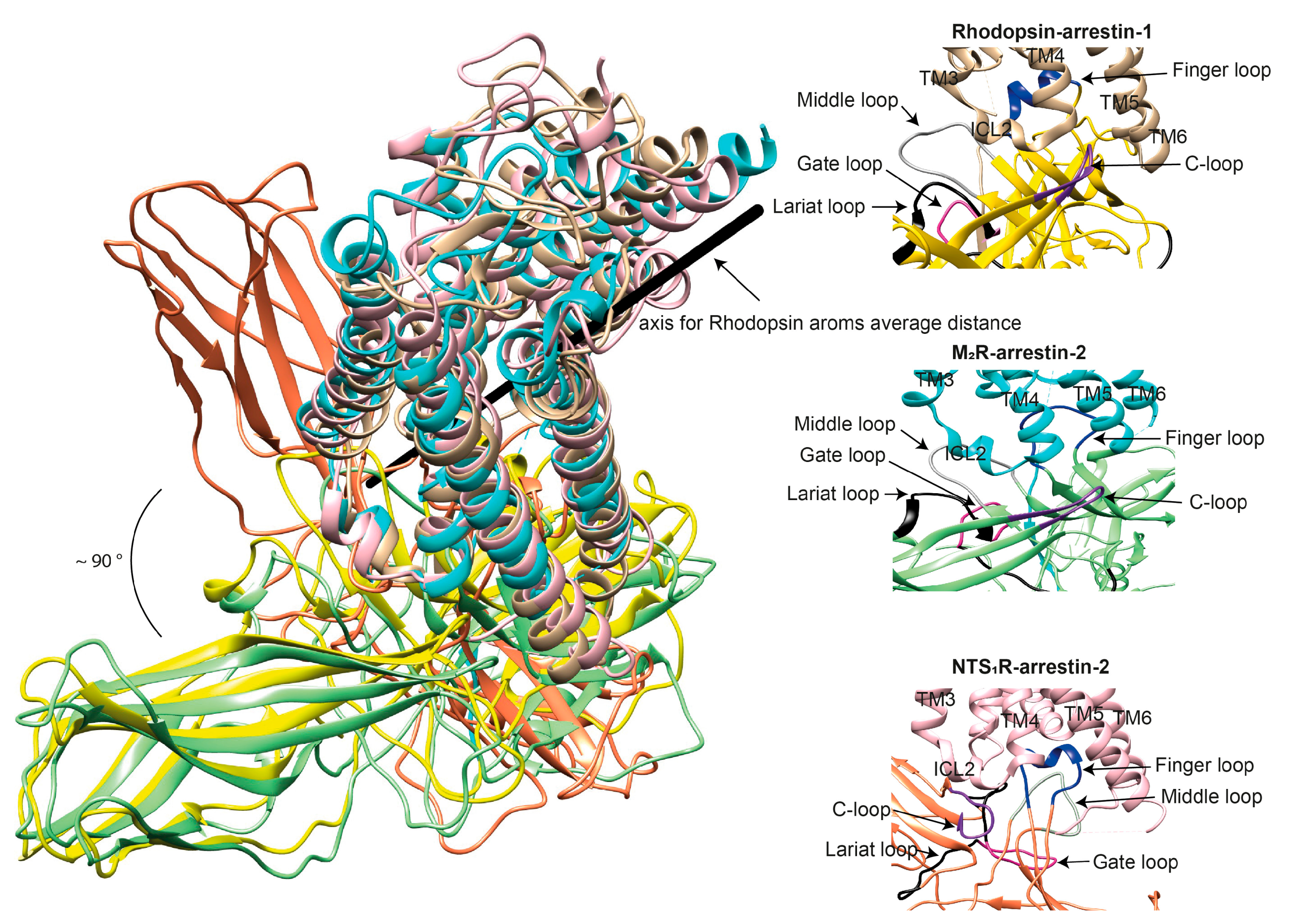 Biomolecules 11 00218 g003