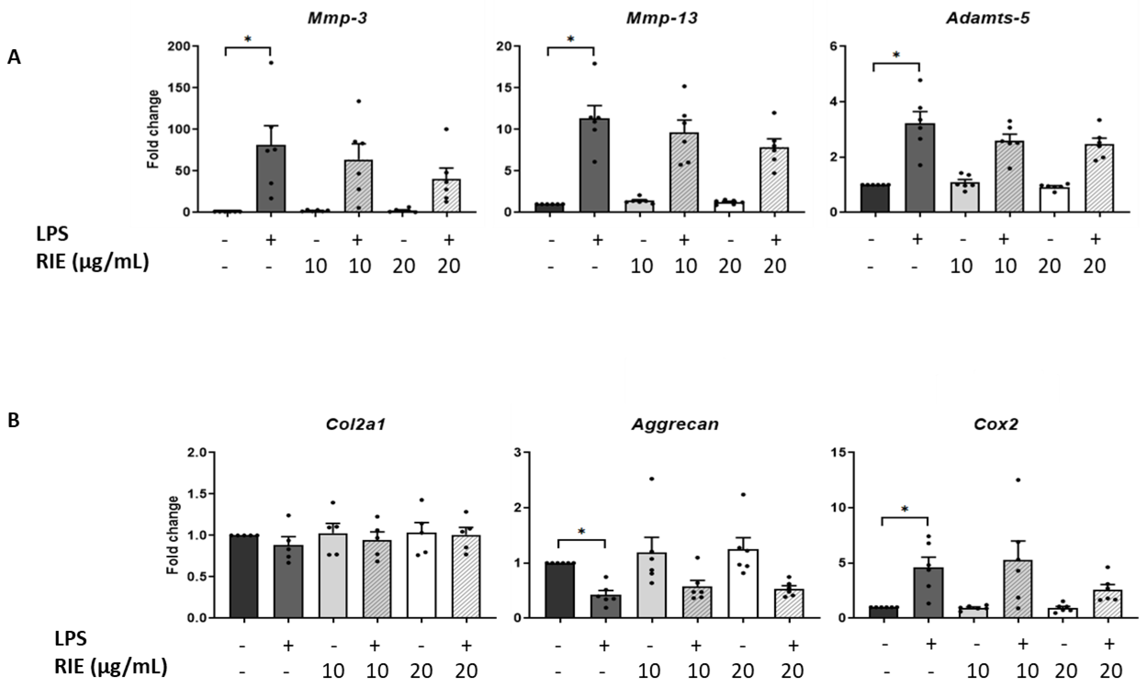 Biomolecules 11 00245 g004