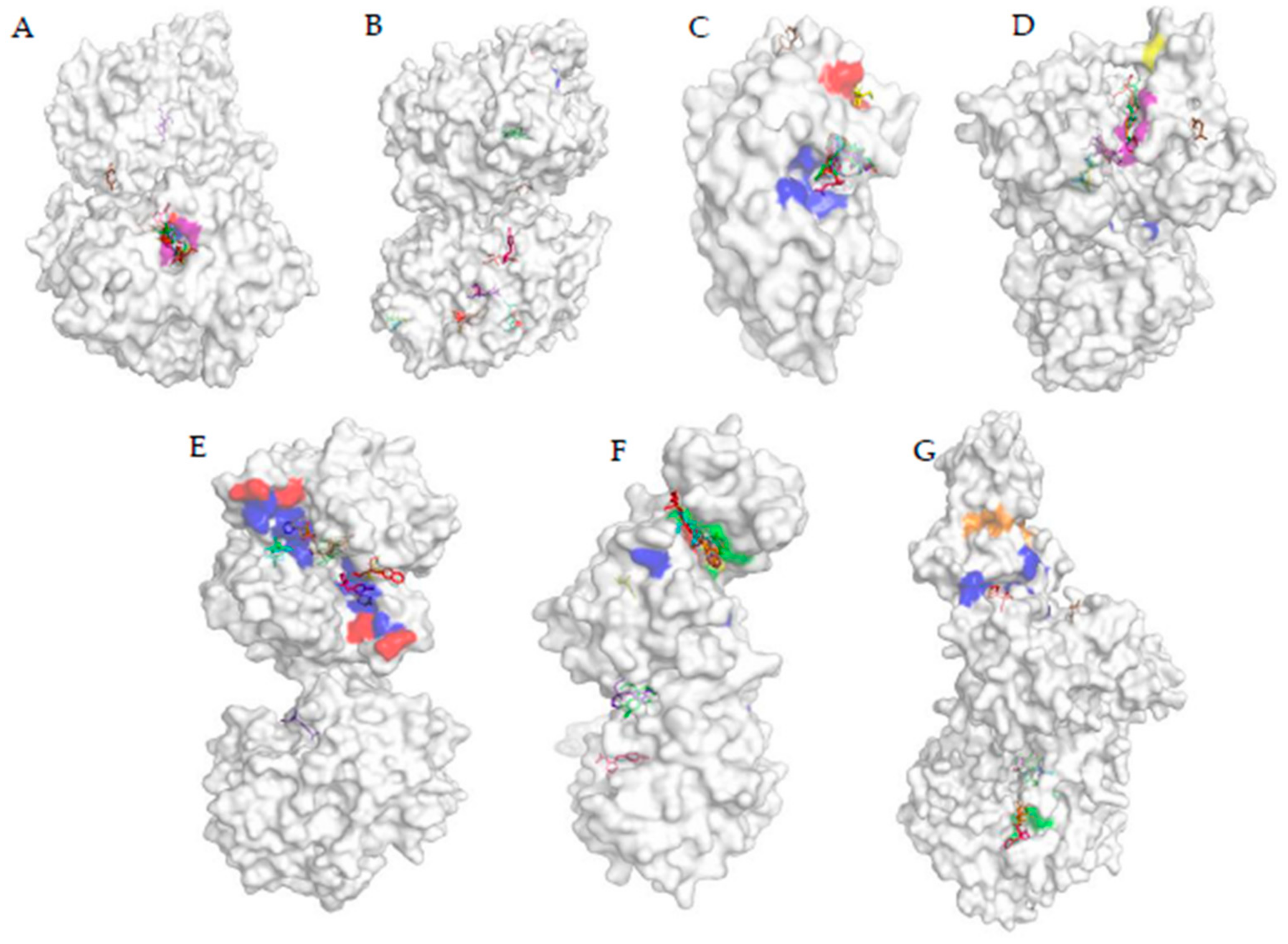 Biomolecules 11 00261 g004 Biomolecules 11 00261 g004