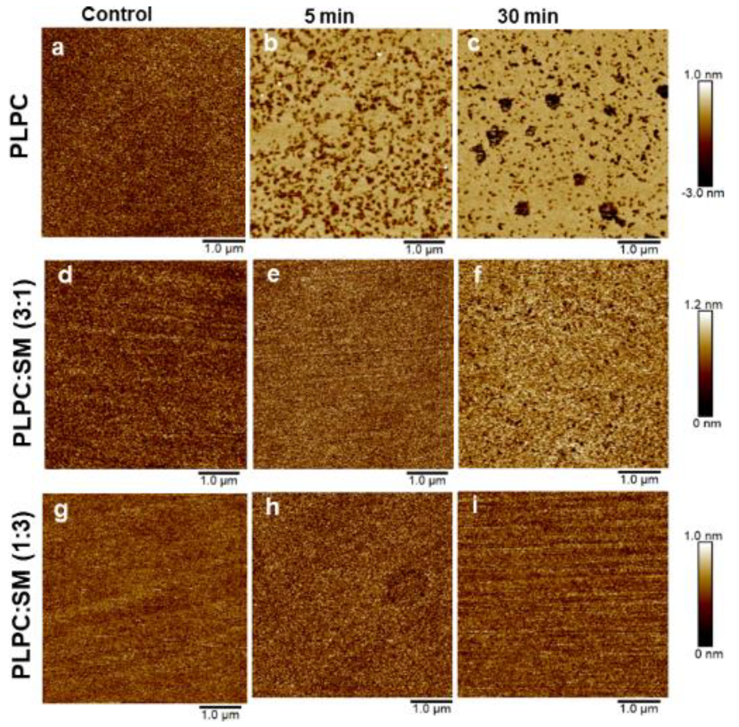 Biomolecules 11 00276 g006