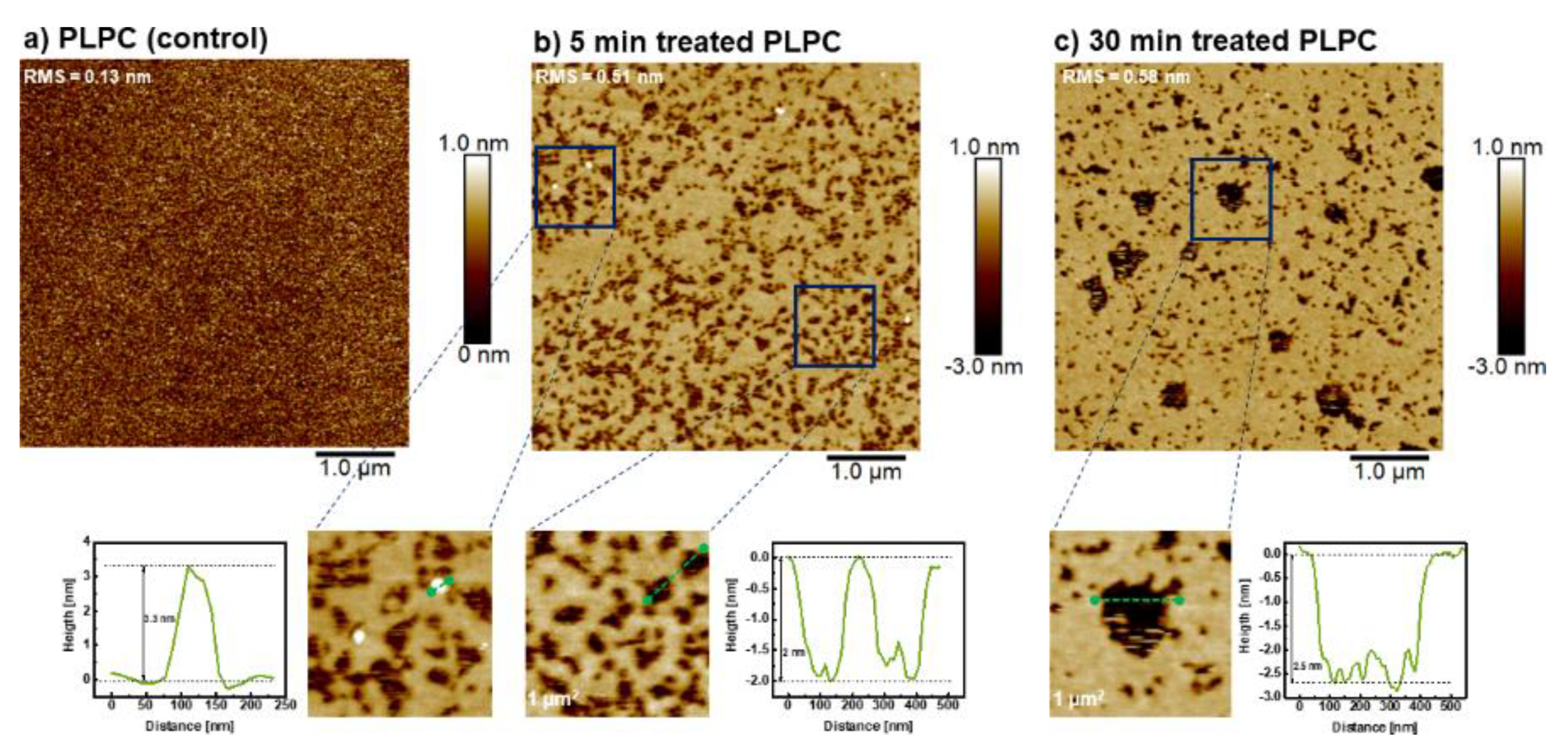 Biomolecules 11 00276 g007