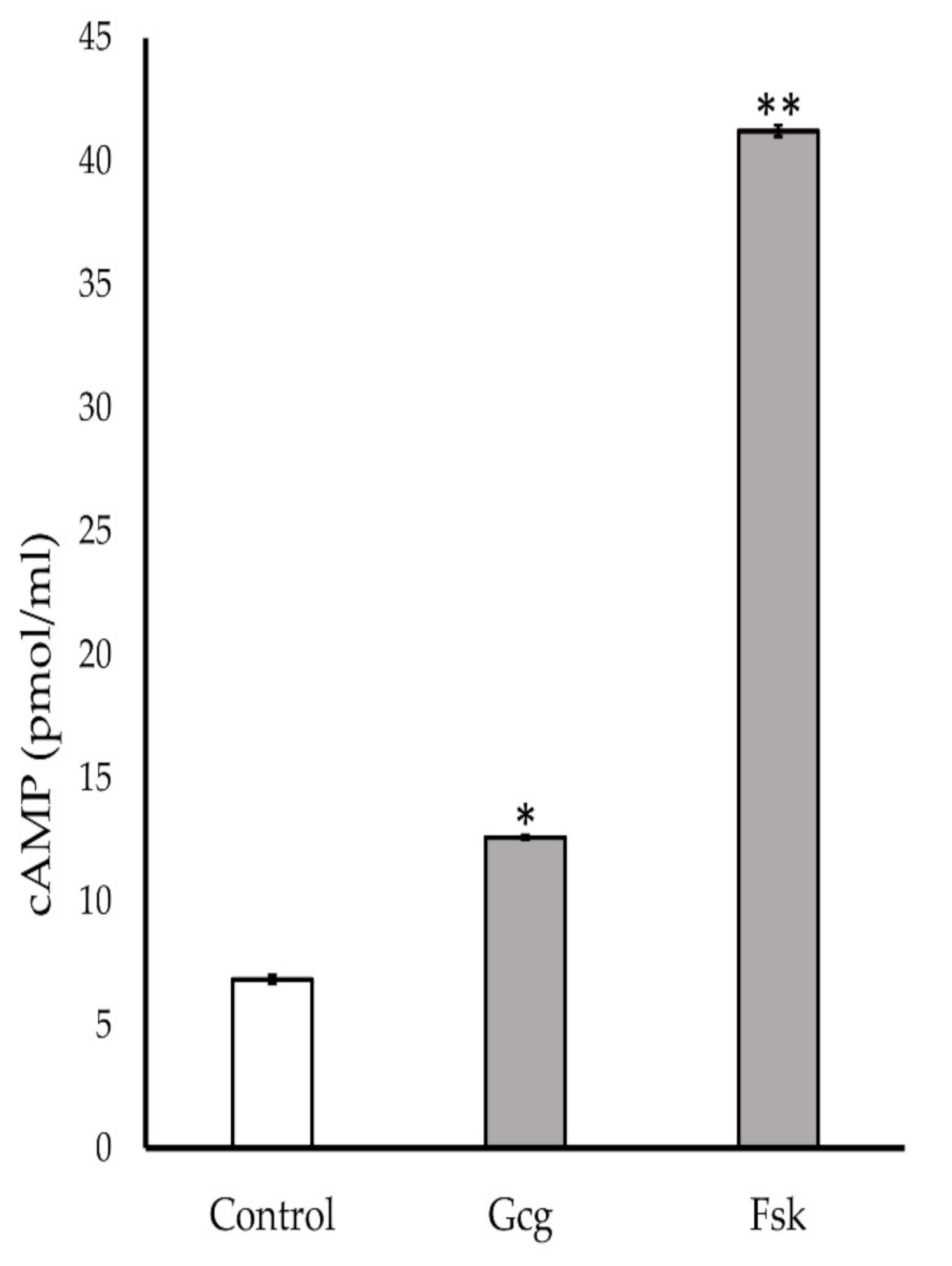 Biomolecules 11 00287 g006 Biomolecules 11 00287 g006