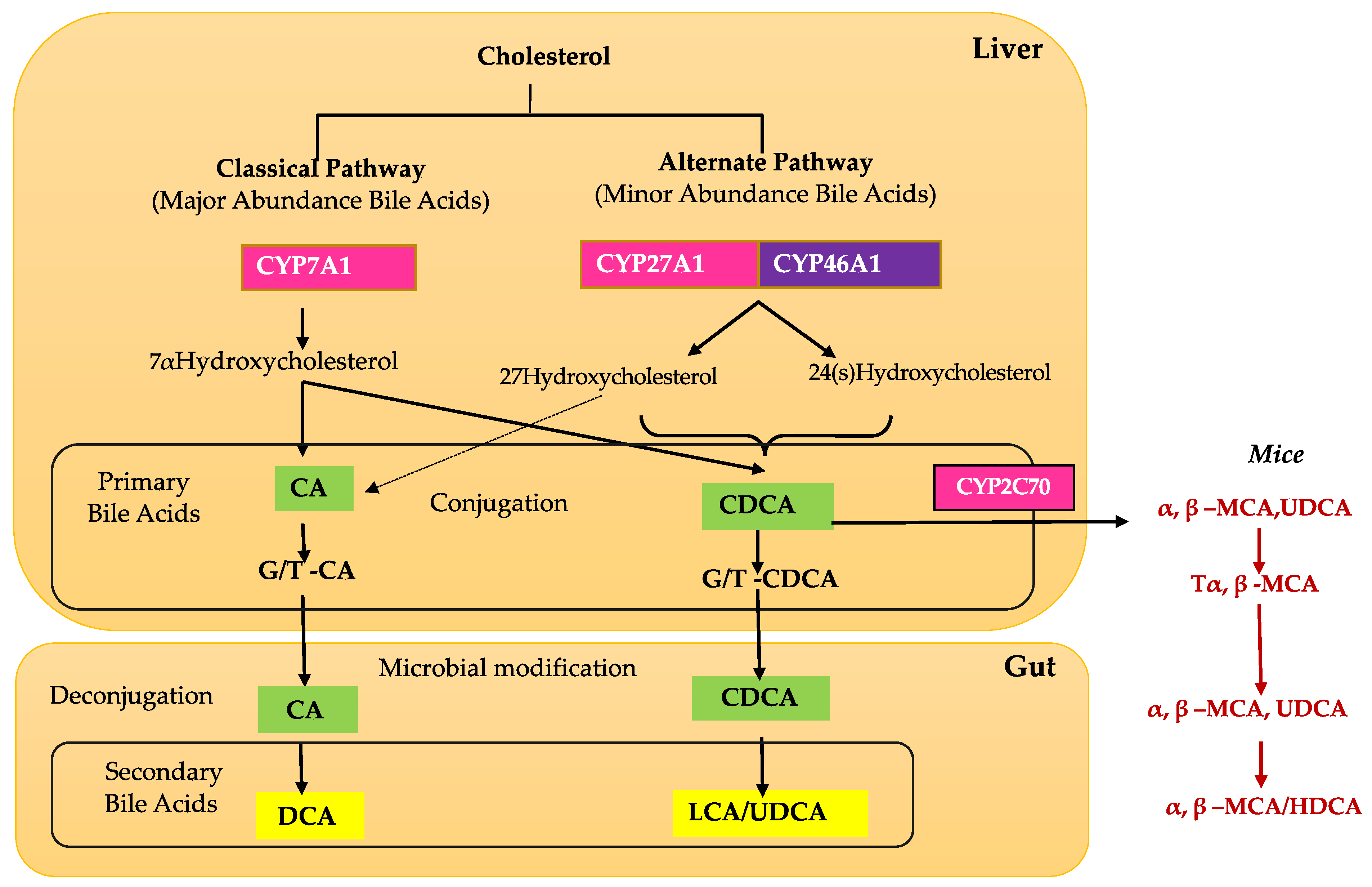 Biomolecules 11 00292 g001