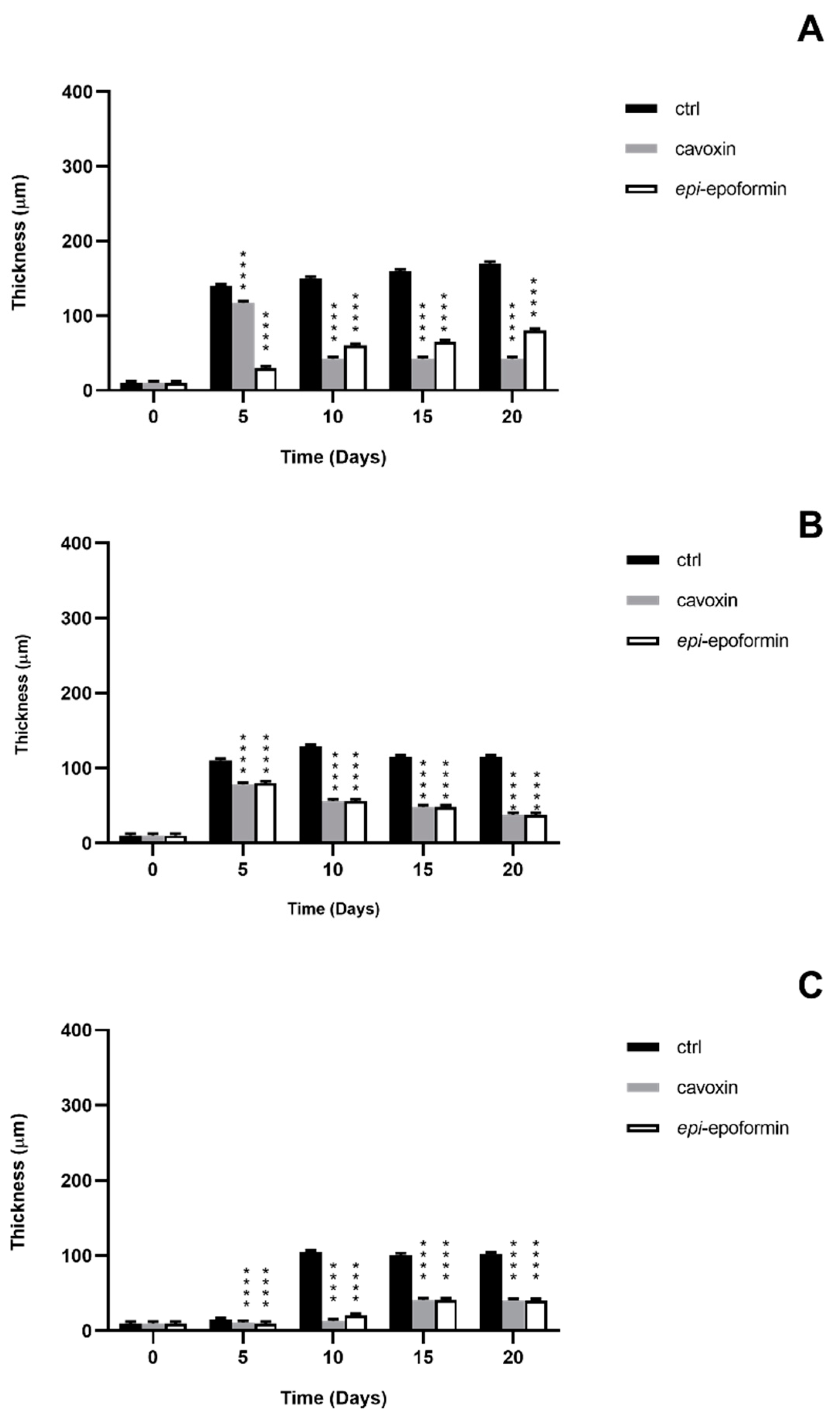 Biomolecules 11 00295 g006 Biomolecules 11 00295 g006