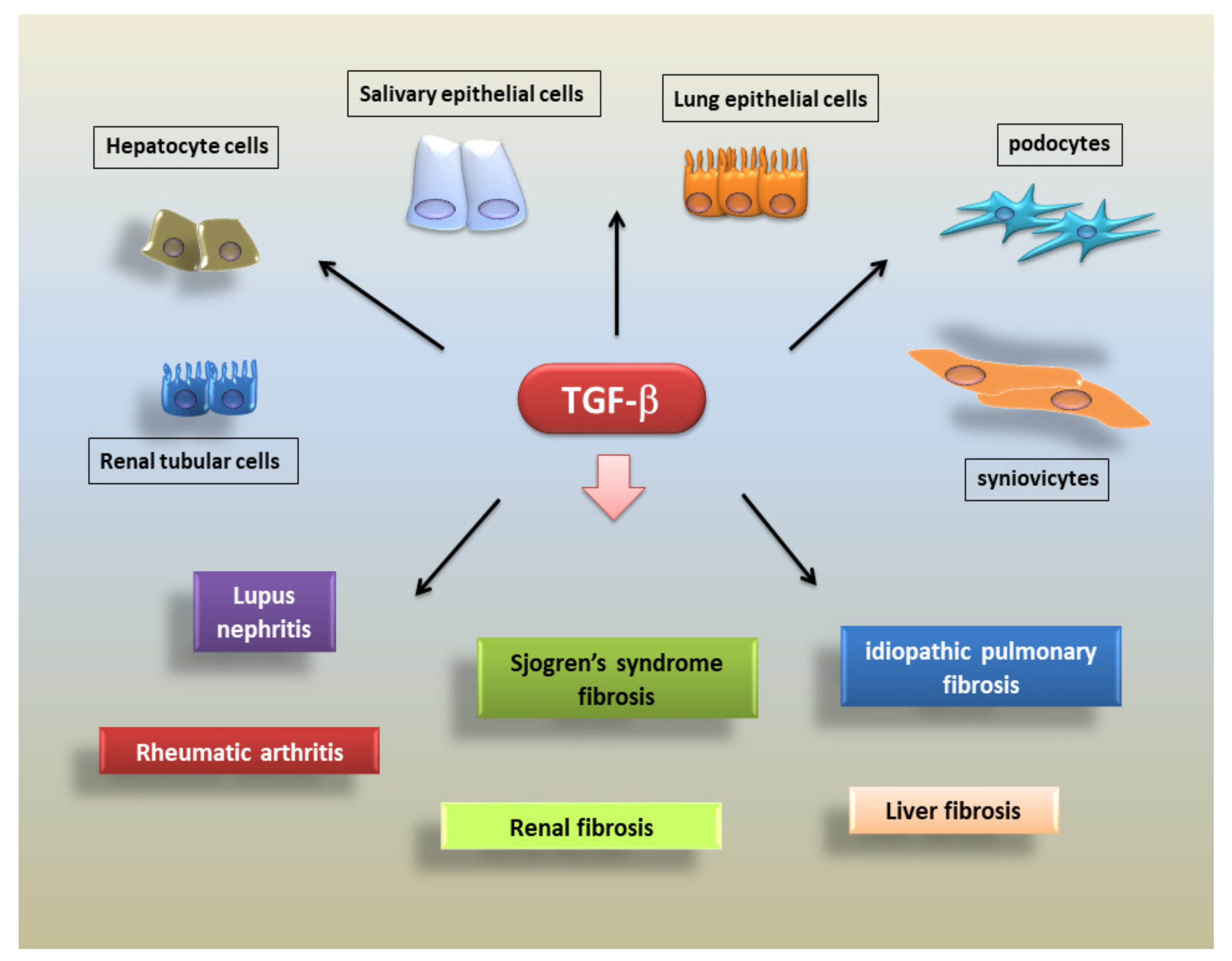 Biomolecules | Free Full-Text | Organ Fibrosis and Autoimmunity