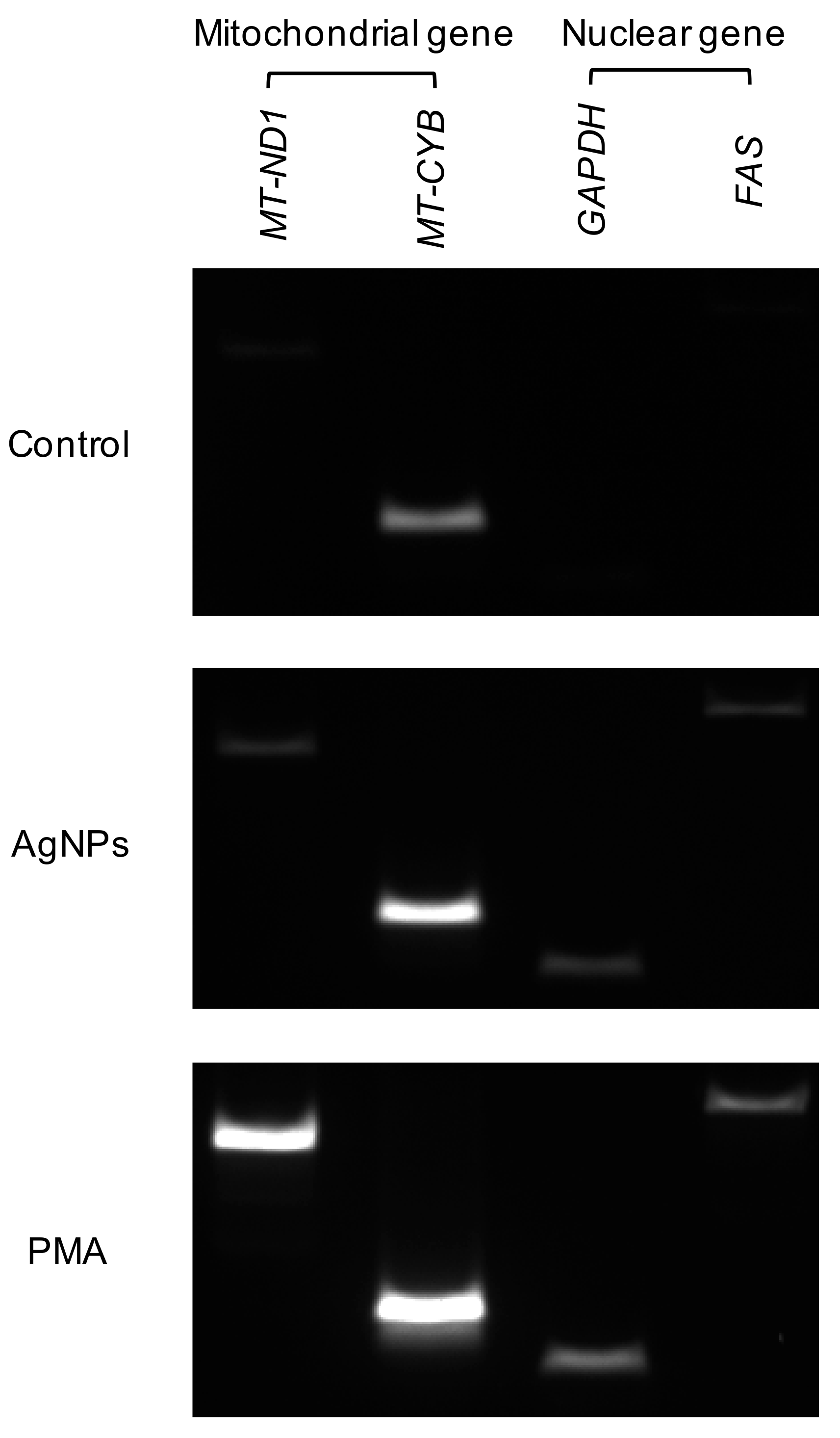 Biomolecules 11 00317 g008 Biomolecules 11 00317 g008