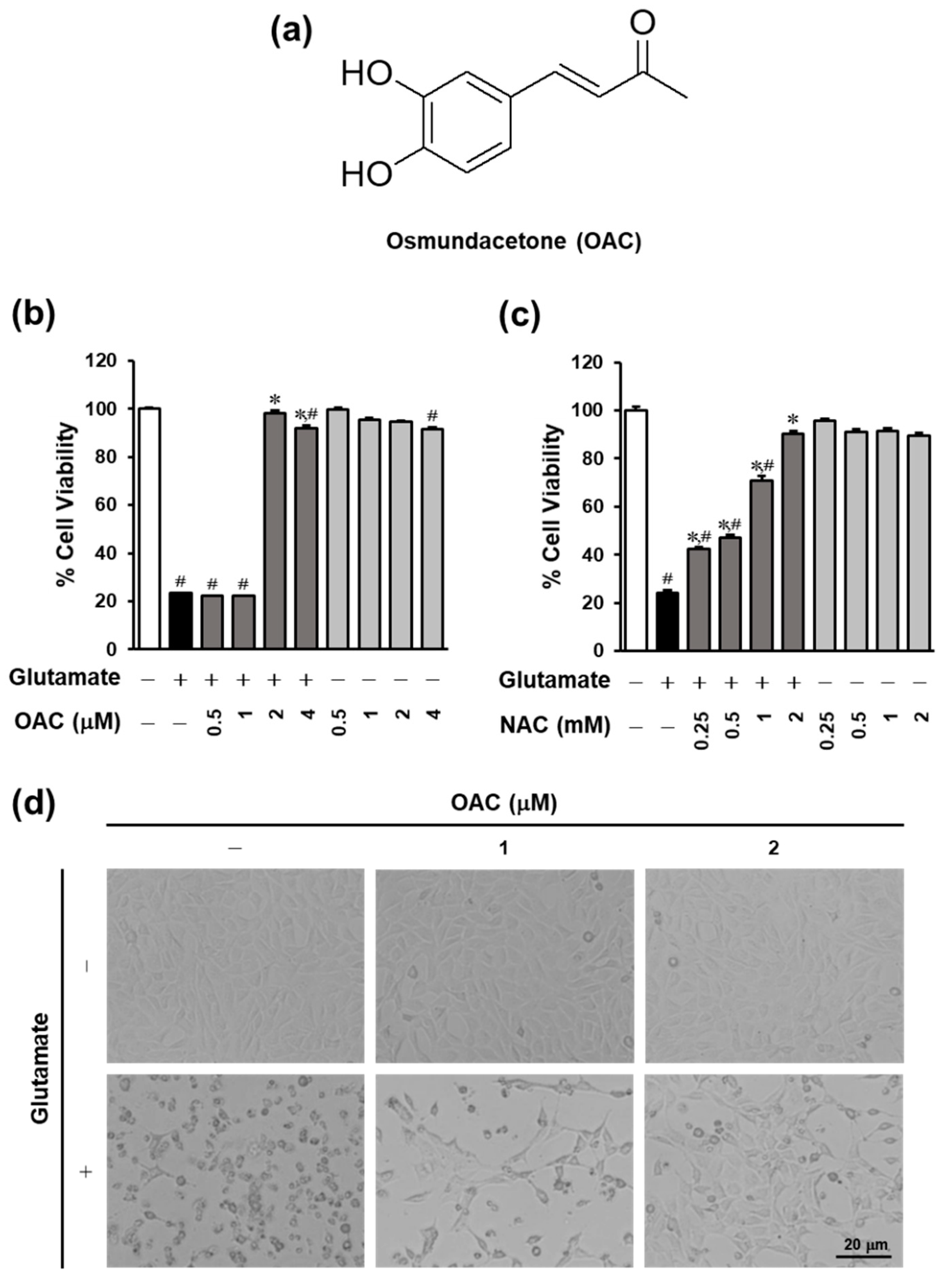 Biomolecules 11 00328 g001