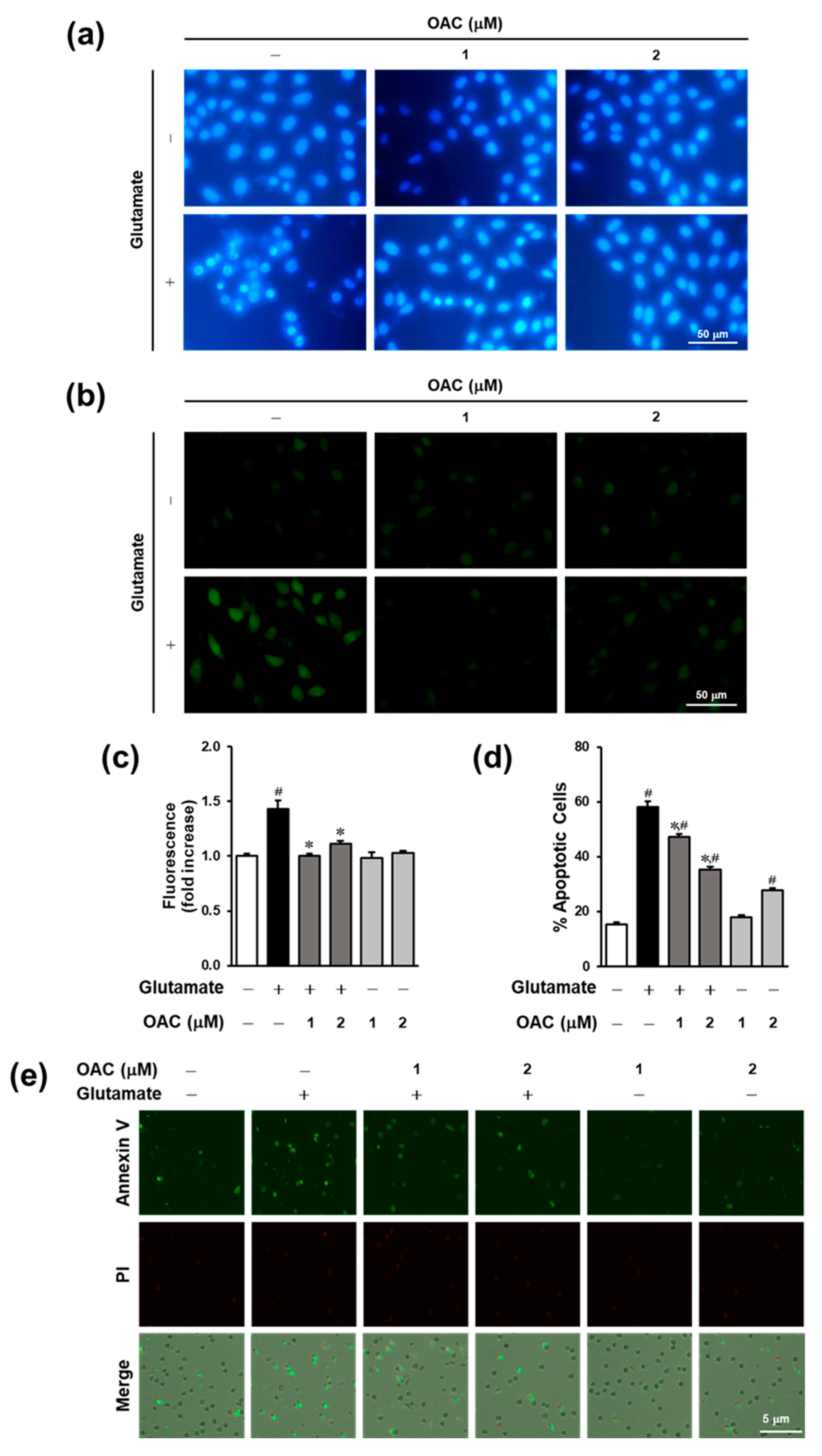 Biomolecules 11 00328 g003