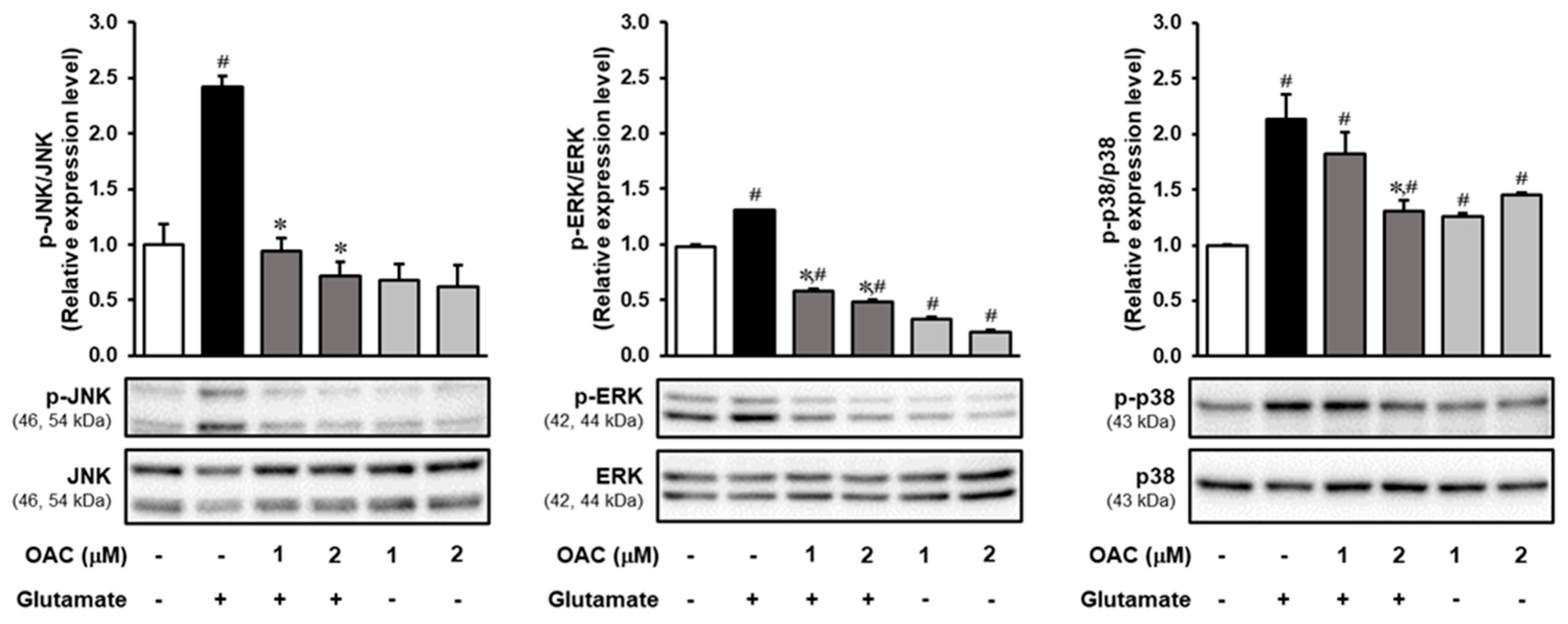 Biomolecules 11 00328 g004