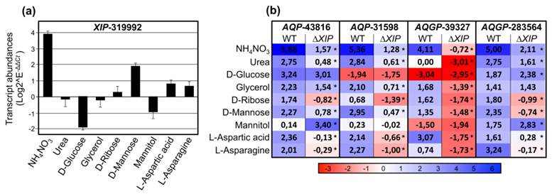 Biomolecules 11 00338 g006