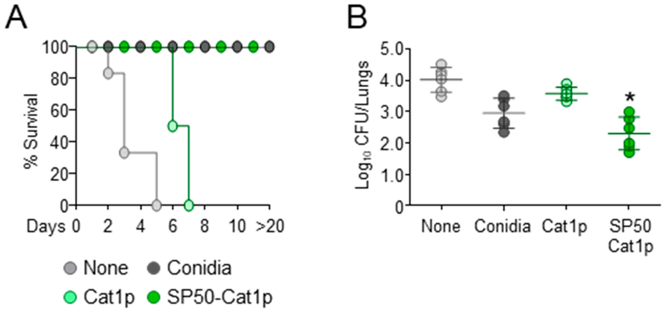 Biomolecules 11 00351 g001