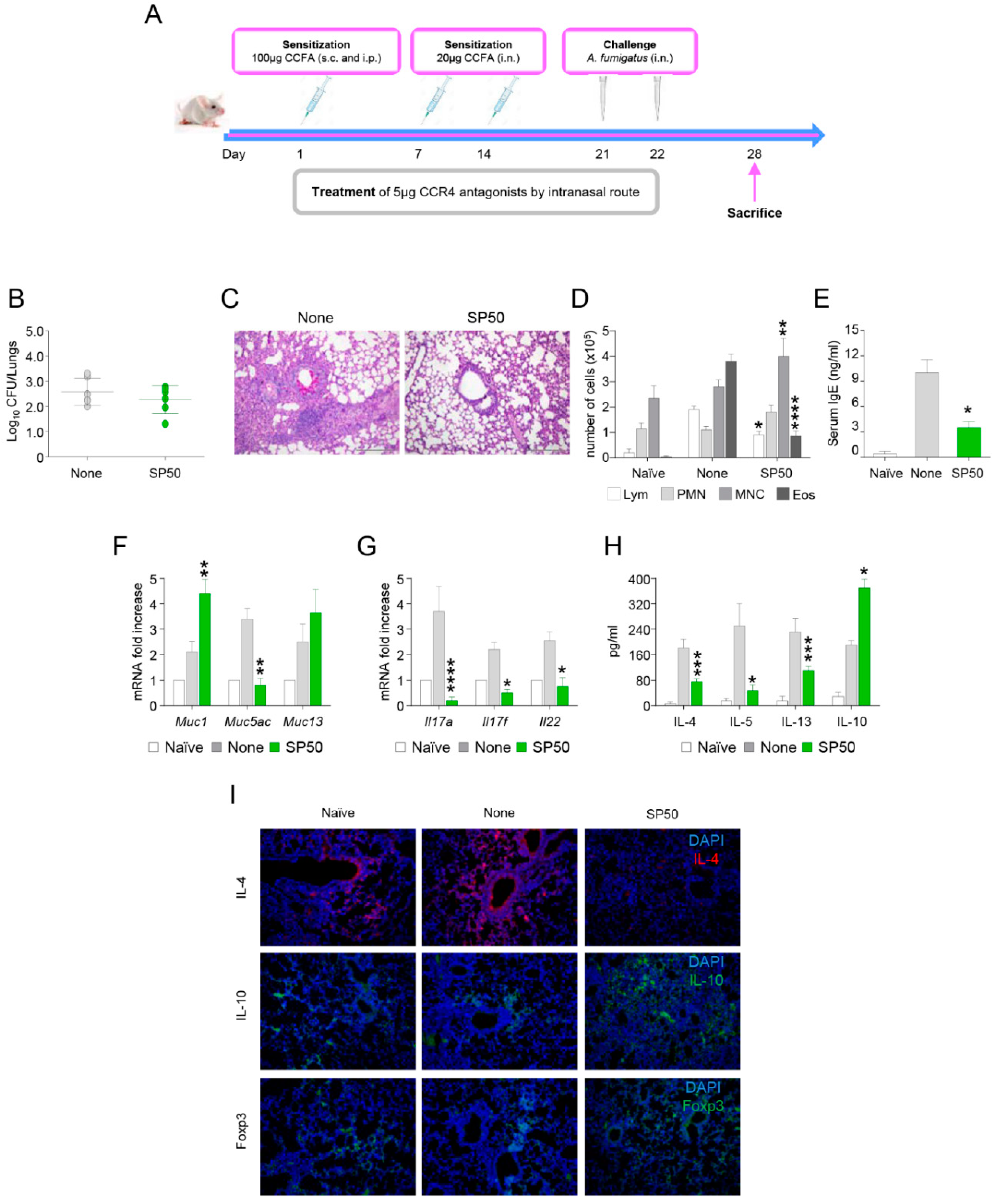 Biomolecules 11 00351 g003