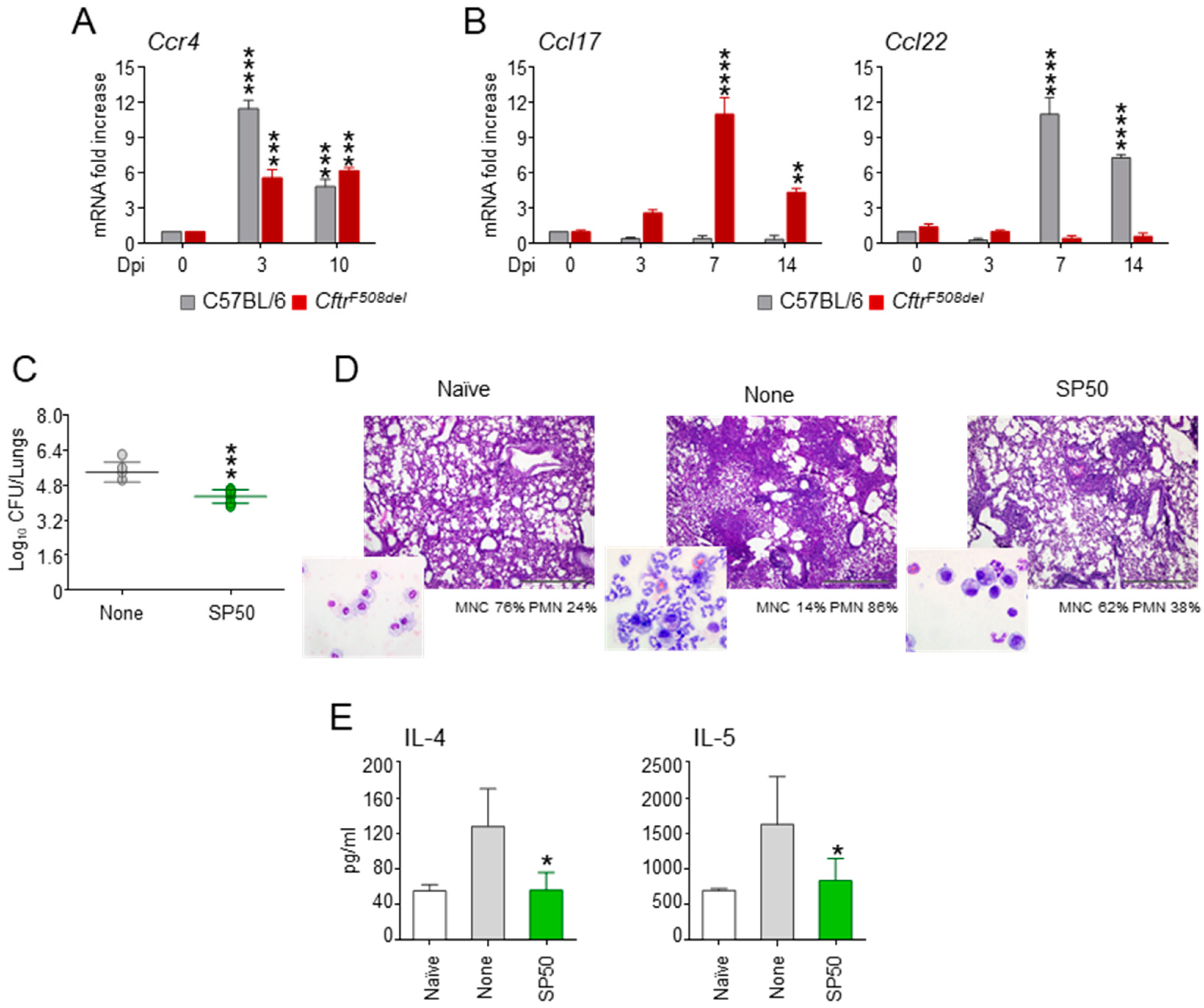 Biomolecules 11 00351 g004