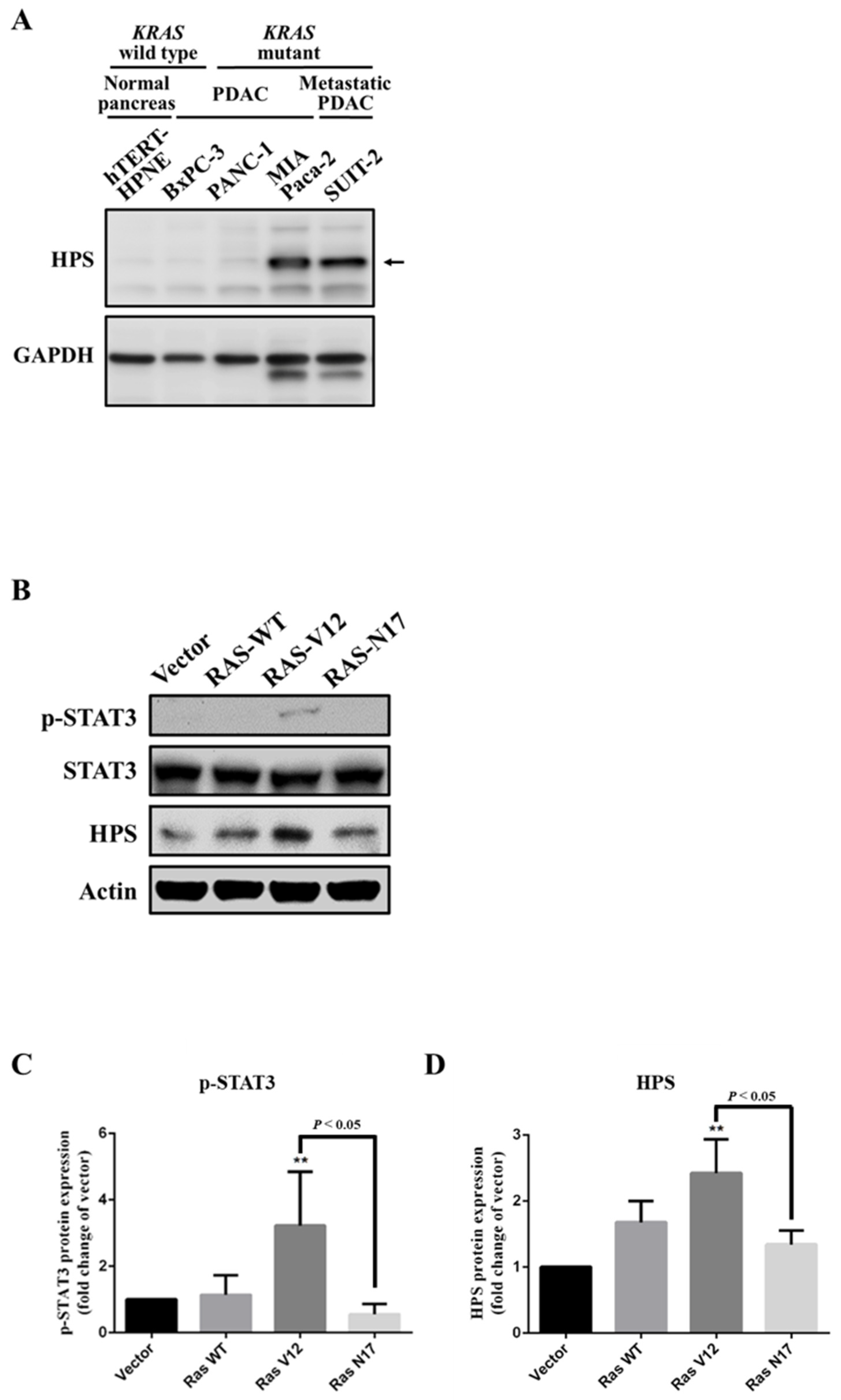 Biomolecules 11 00370 g001
