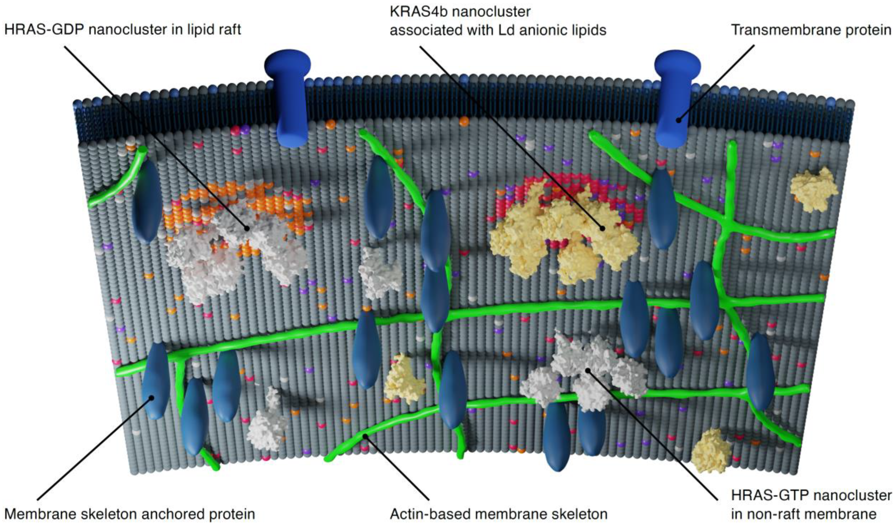 Biomolecules 11 00377 g003