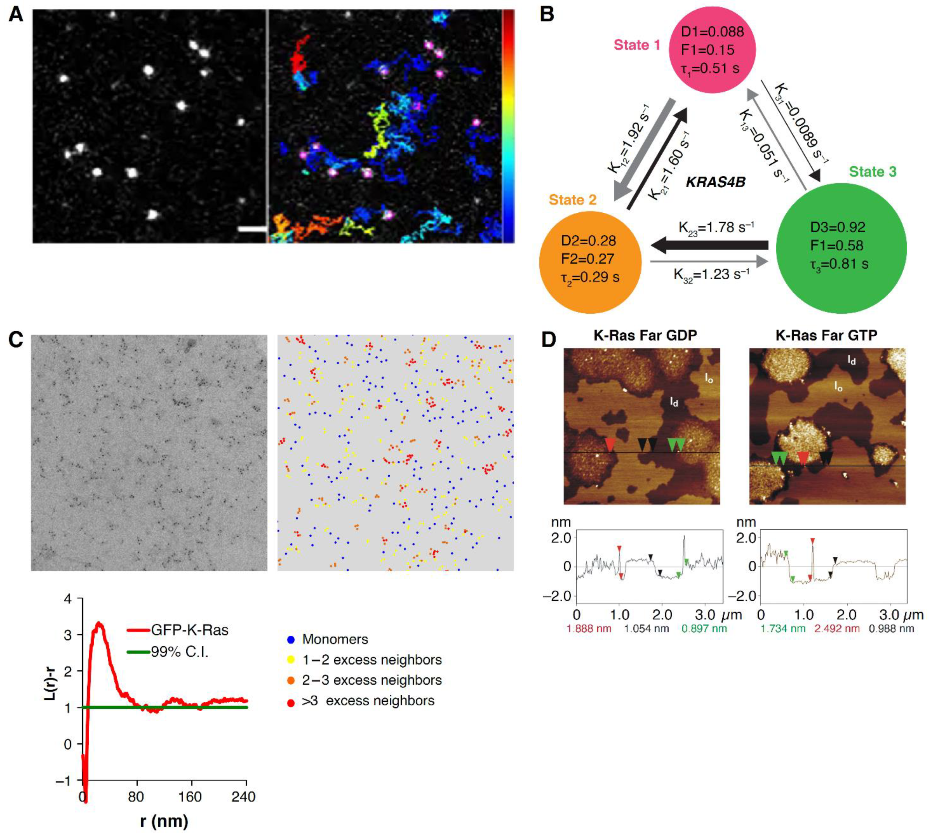 Biomolecules 11 00377 g004