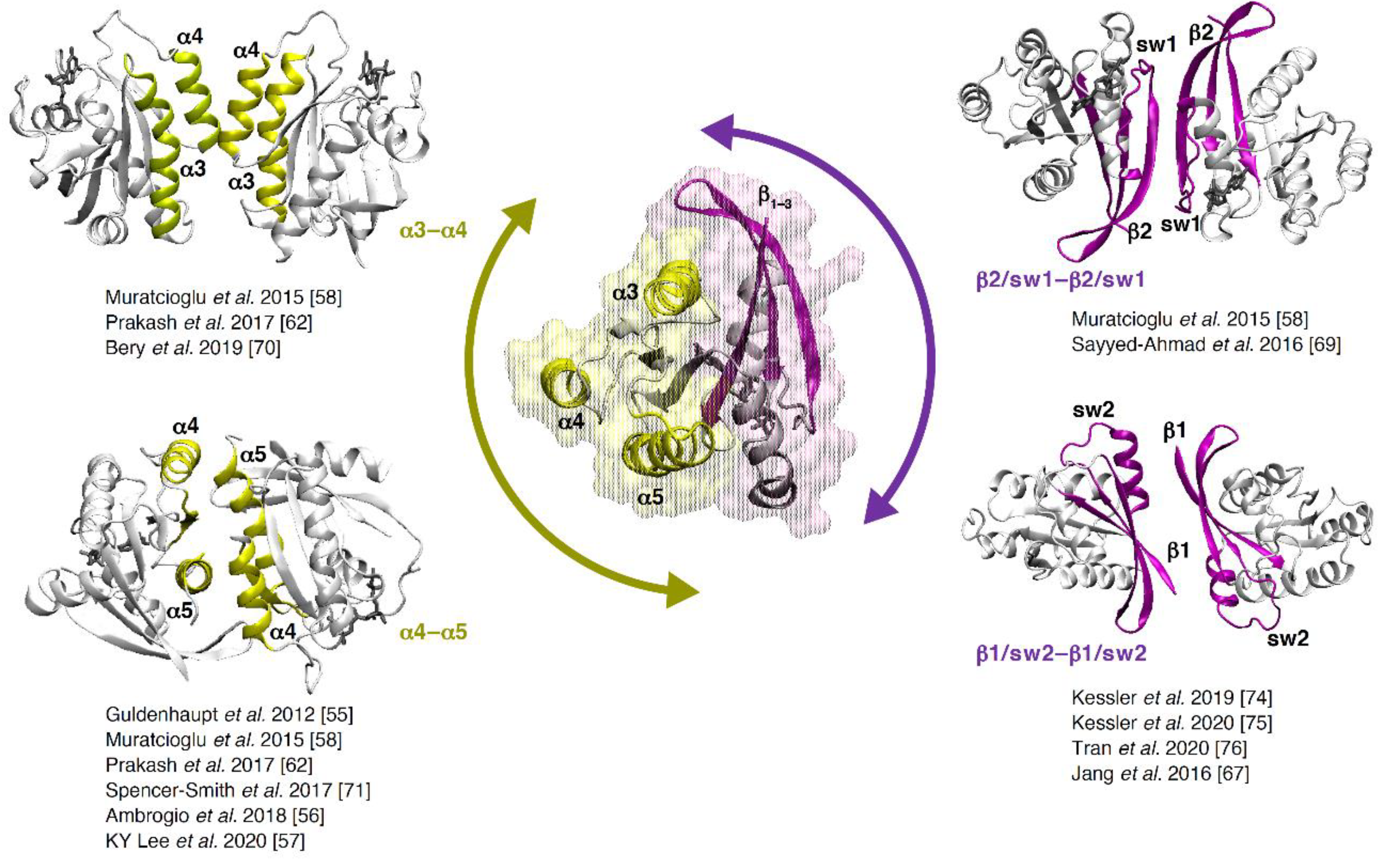 Biomolecules 11 00377 g007