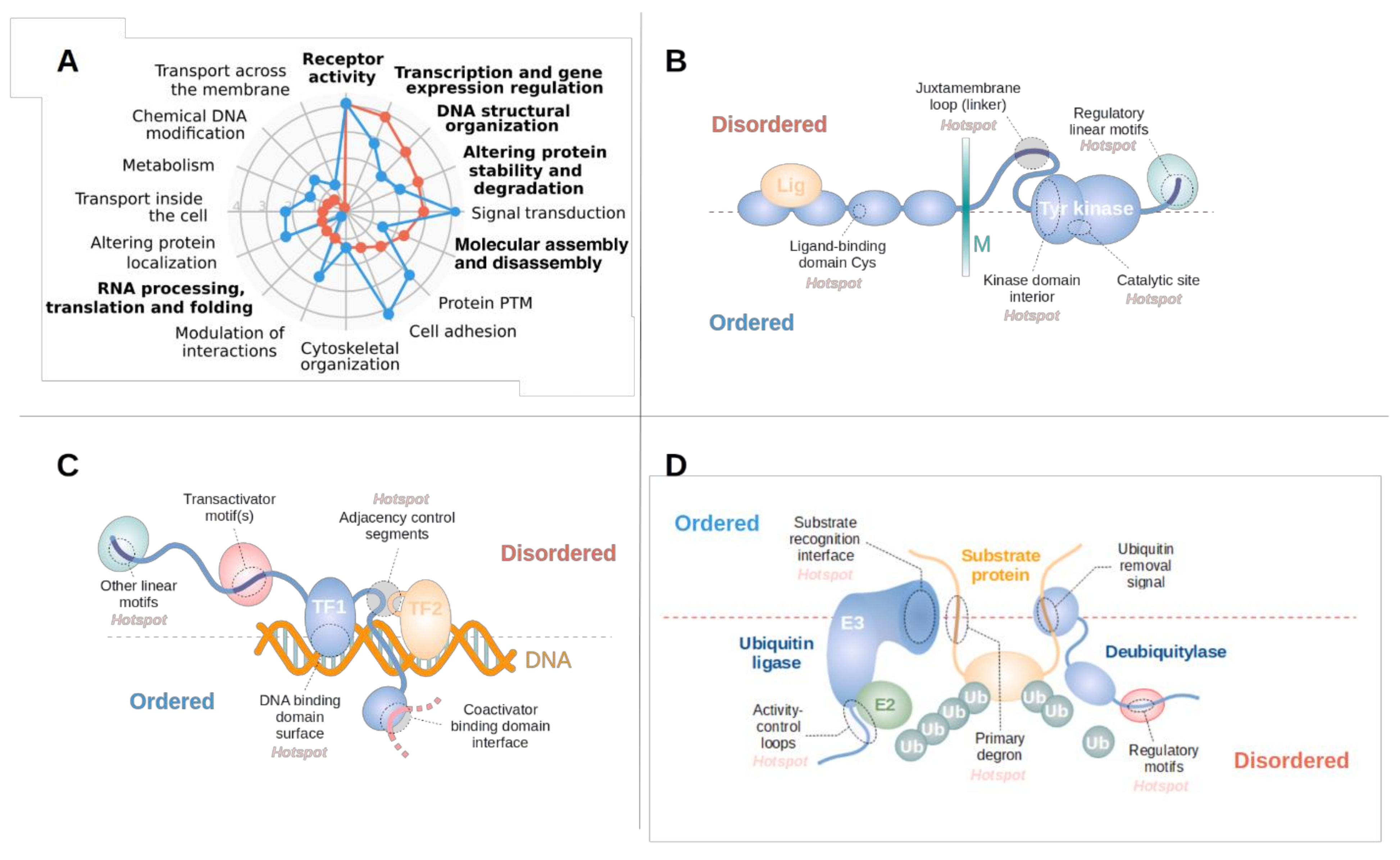 Biomolecules 11 00381 g003 Biomolecules 11 00381 g003