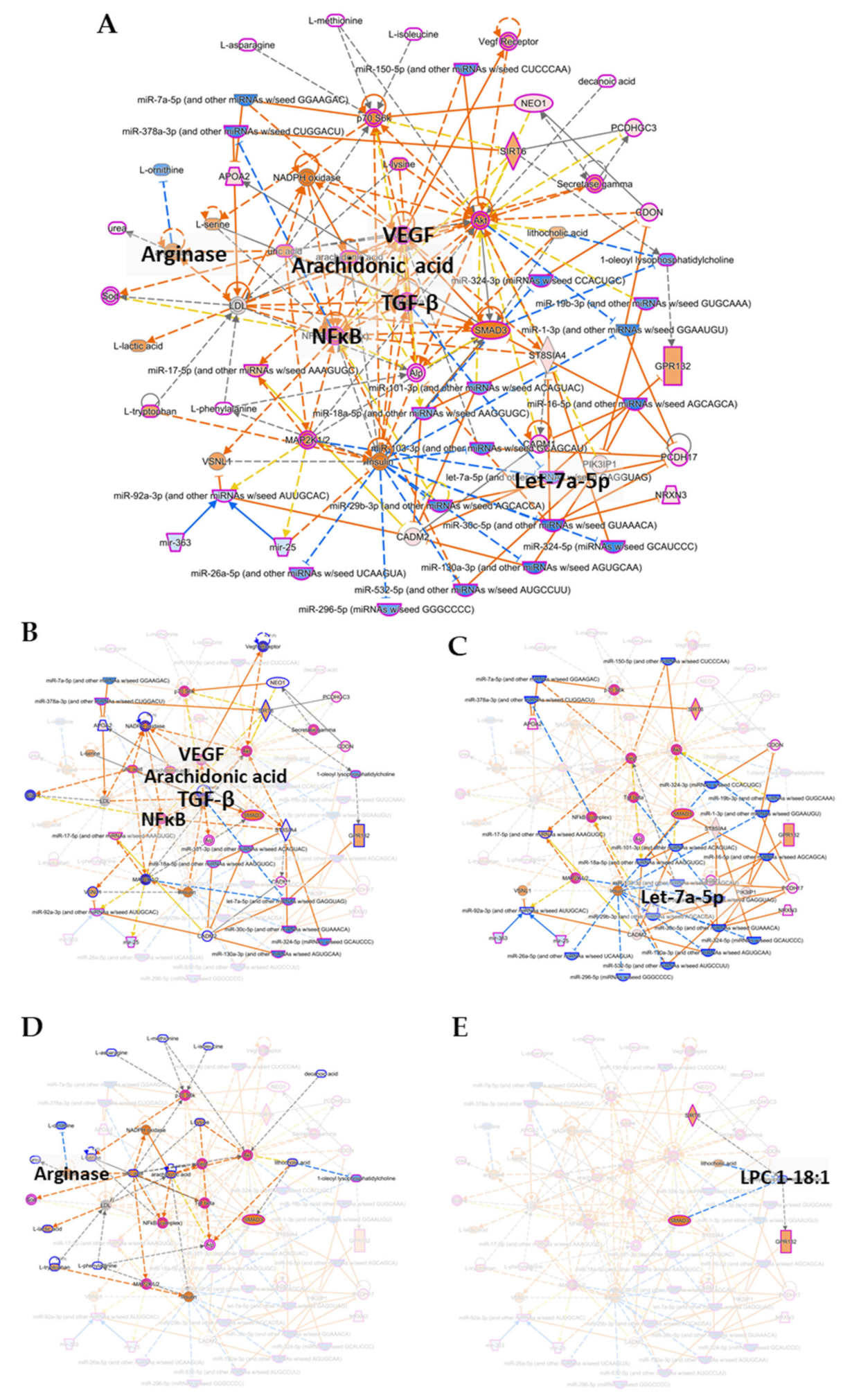Biomolecules 11 00383 g005 Biomolecules 11 00383 g005