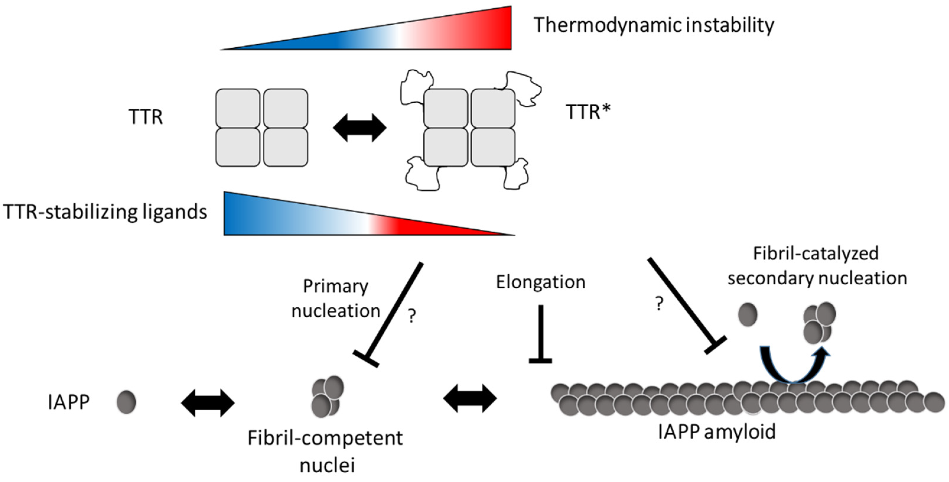 Biomolecules 11 00411 g006