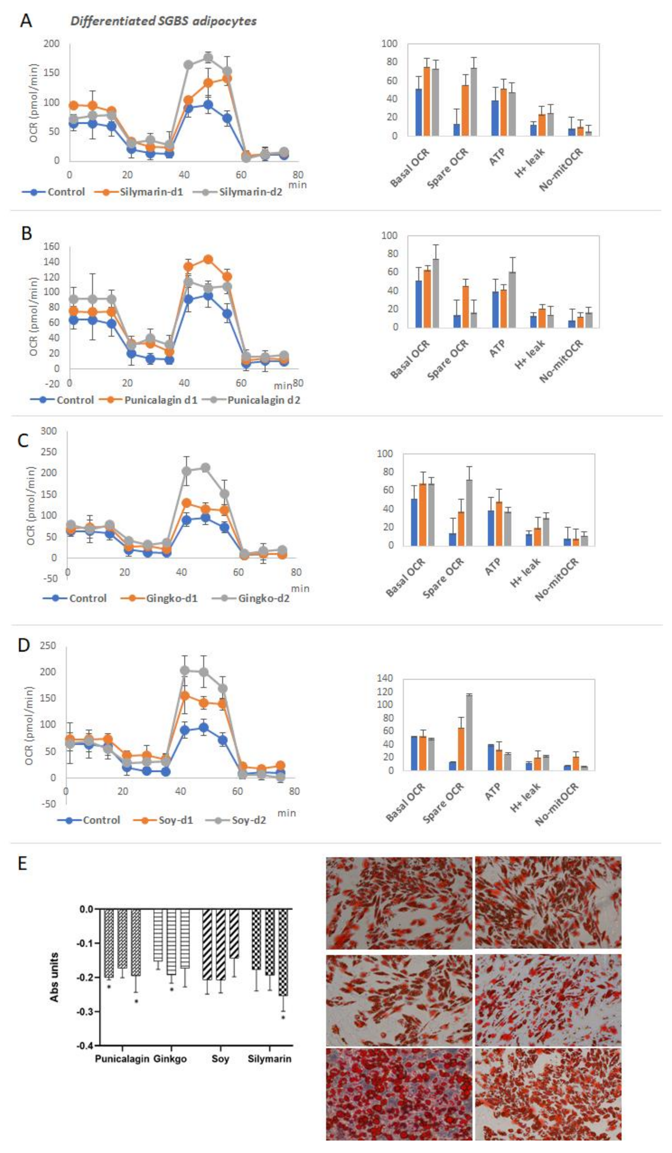 Biomolecules 11 00412 g006 Biomolecules 11 00412 g006