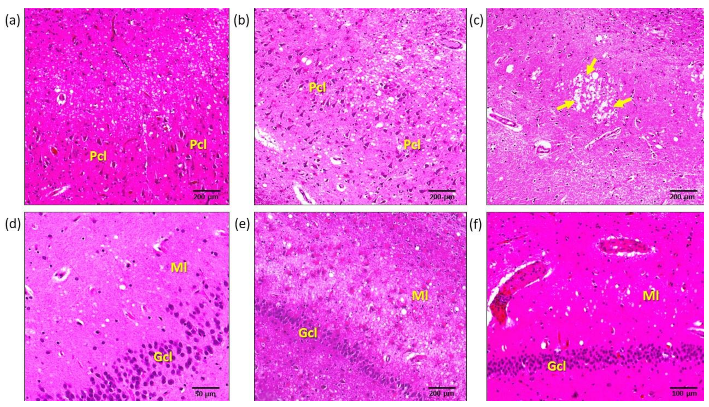 Biomolecules 11 00413 g002 Biomolecules 11 00413 g002