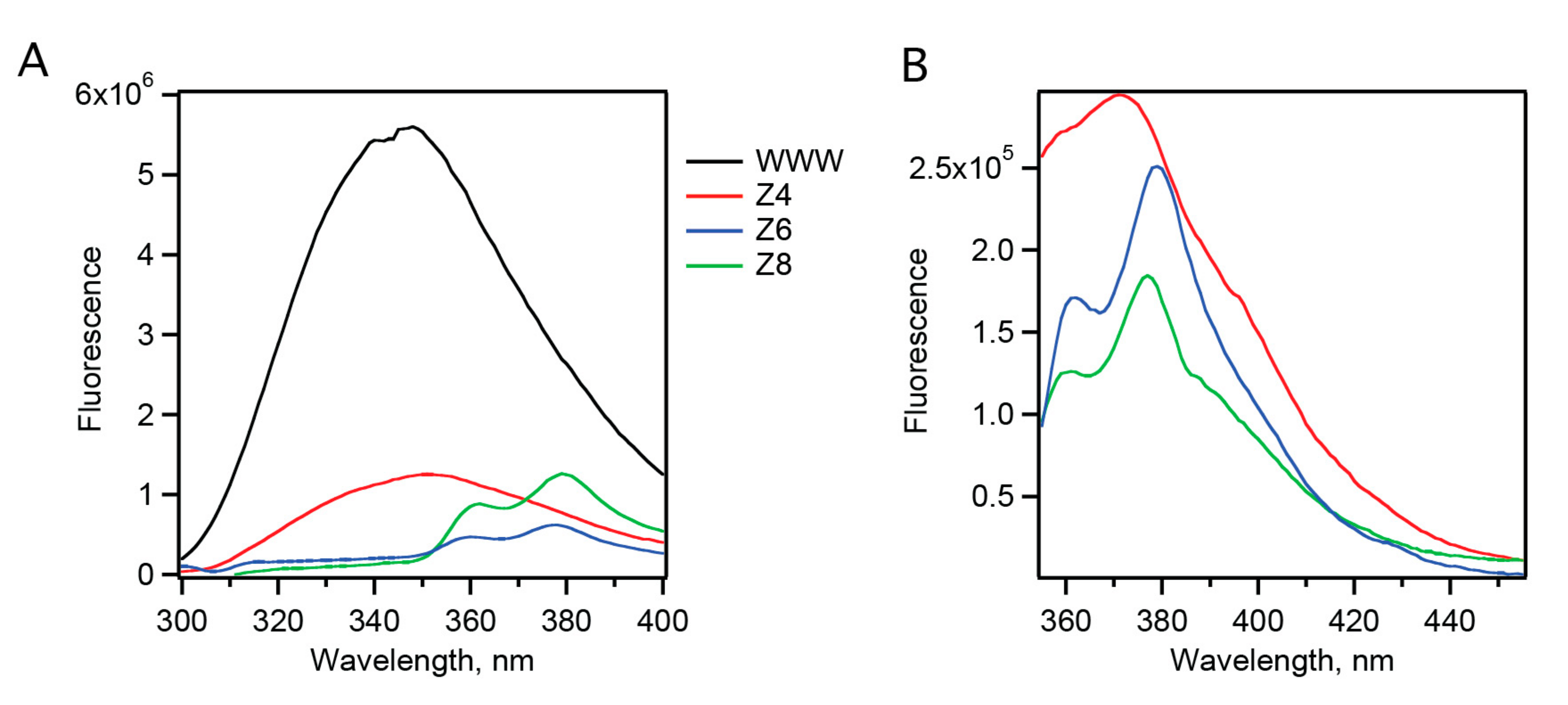 Biomolecules 11 00421 g004 Biomolecules 11 00421 g004