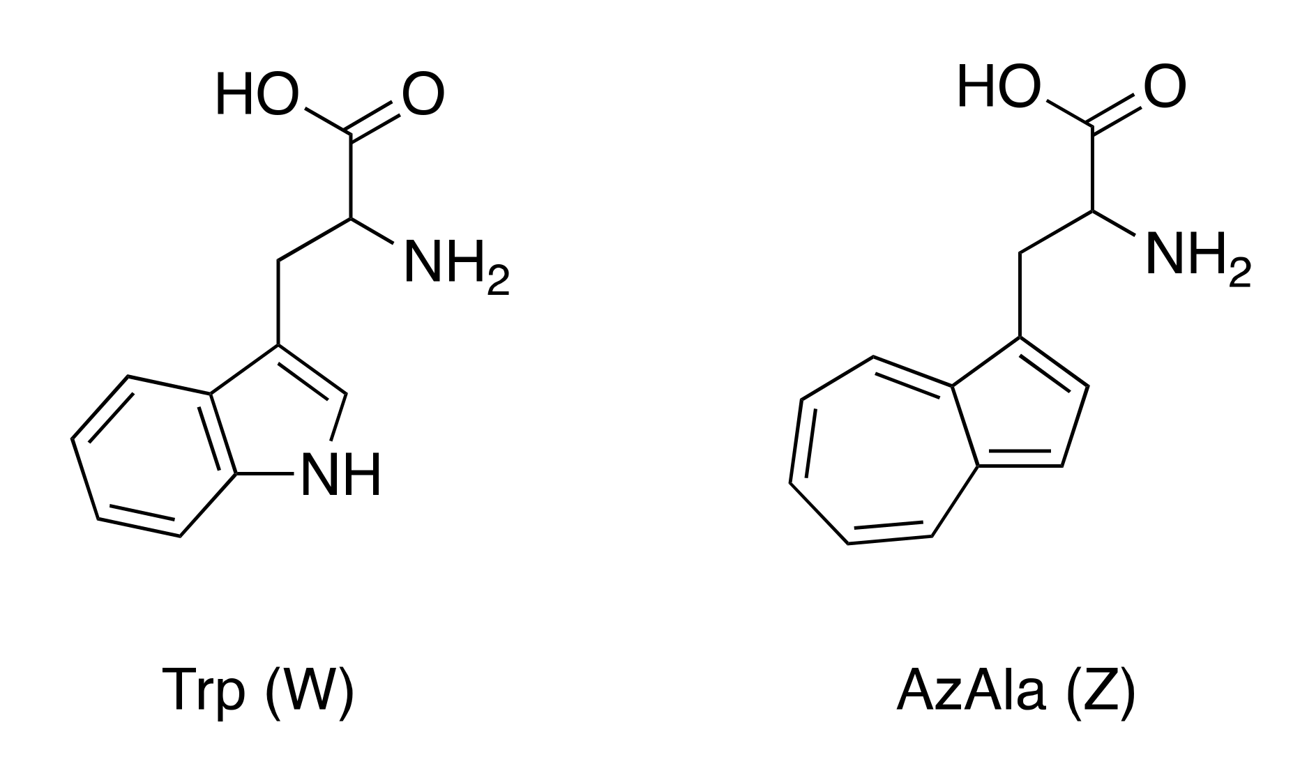 Biomolecules 11 00421 sch001 Biomolecules 11 00421 sch001