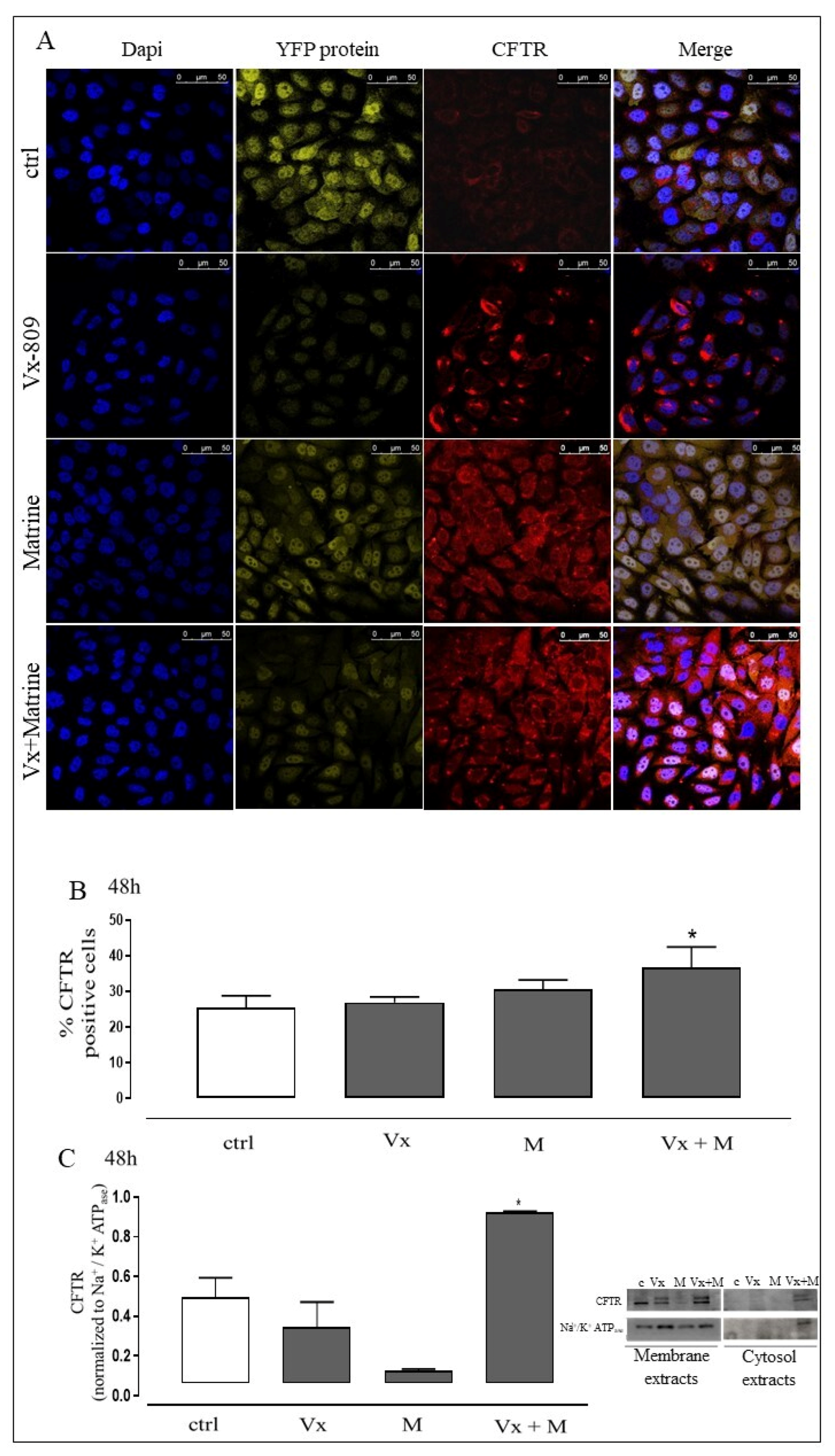 Biomolecules 11 00422 g001 Biomolecules 11 00422 g001