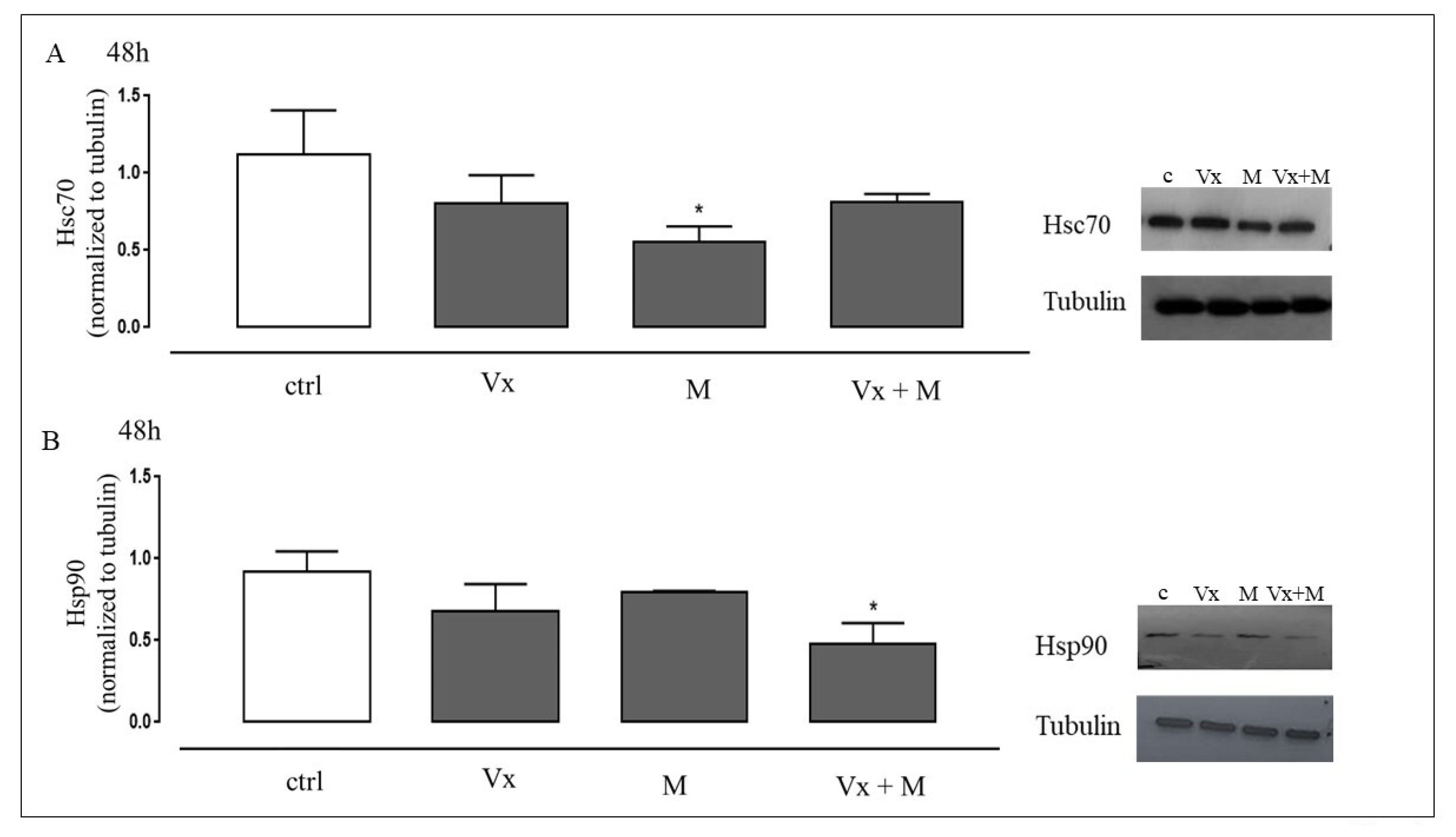 Biomolecules 11 00422 g002 Biomolecules 11 00422 g002