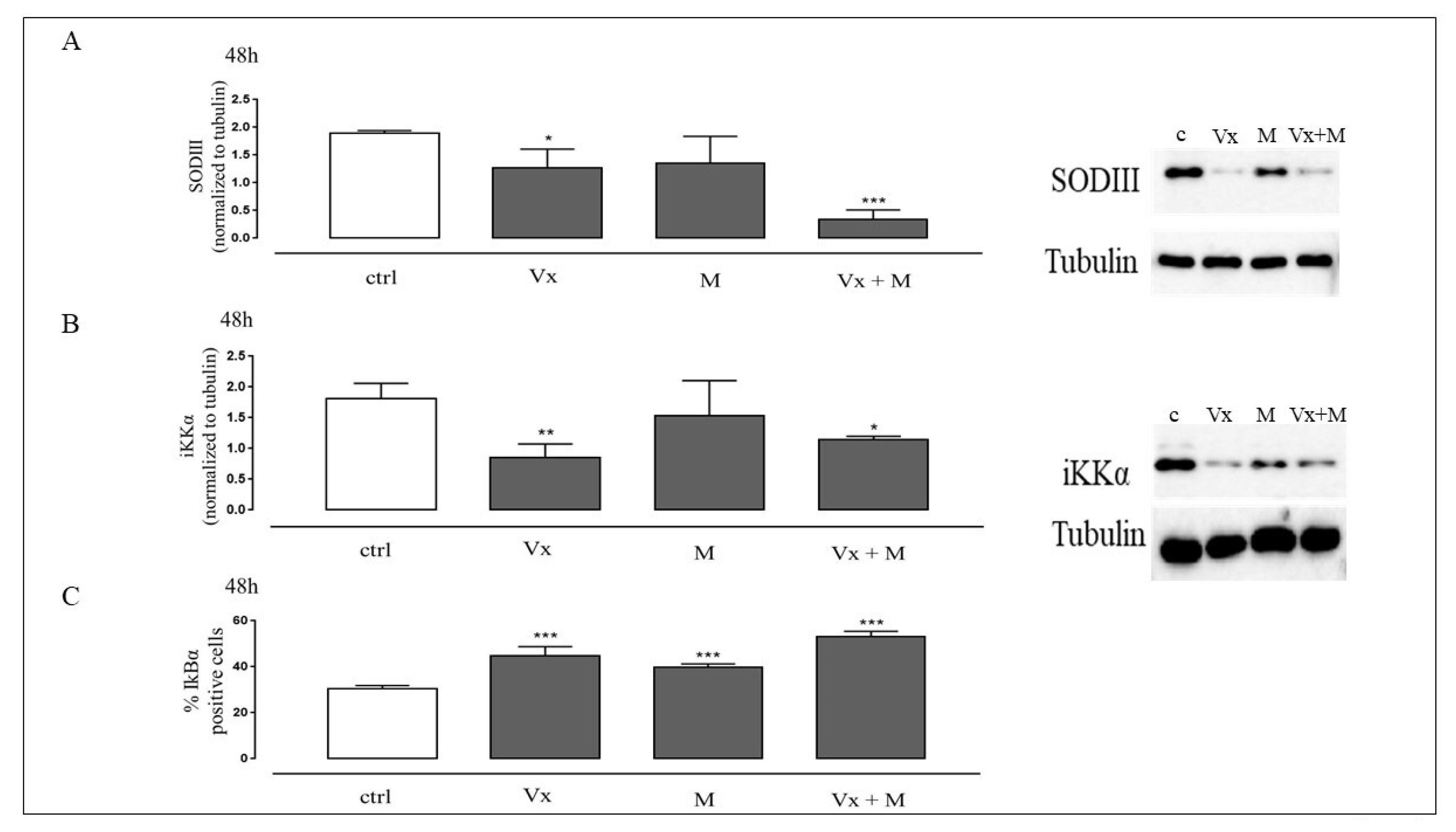 Biomolecules 11 00422 g004 Biomolecules 11 00422 g004