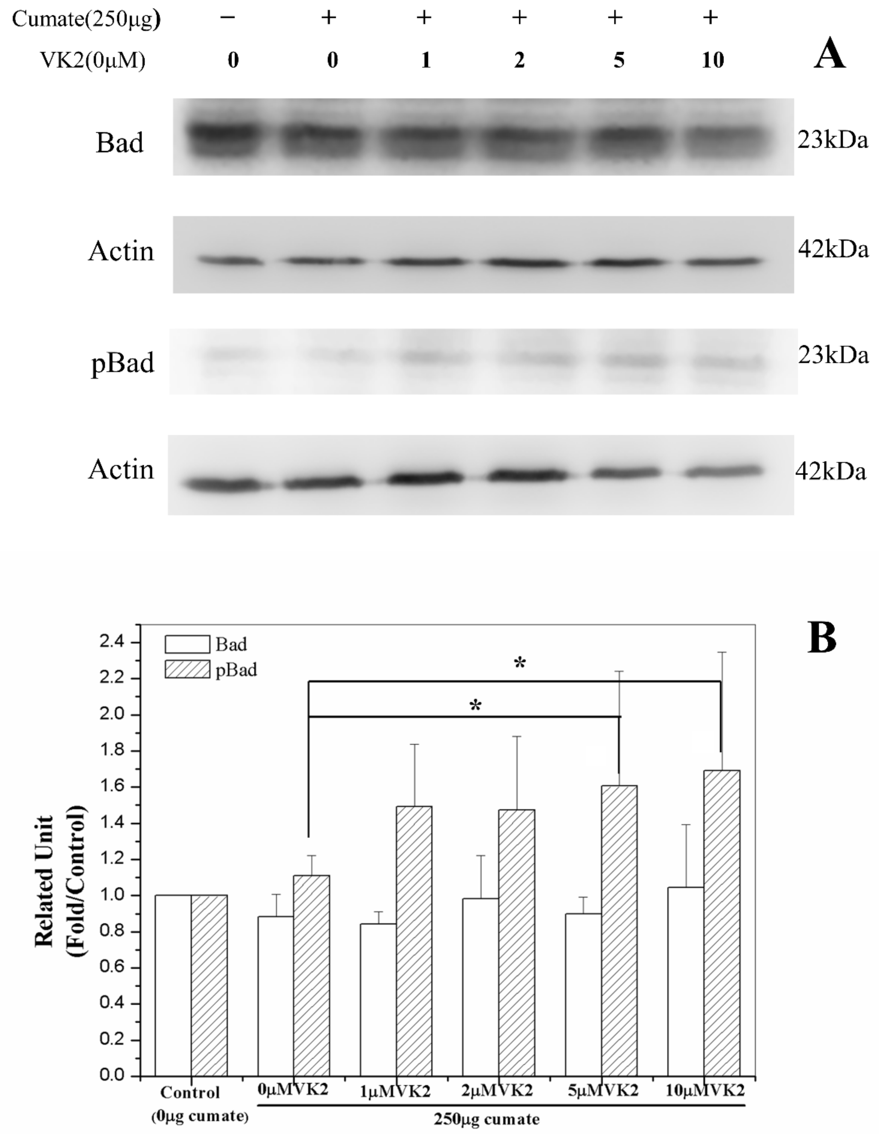 Biomolecules 11 00423 g007
