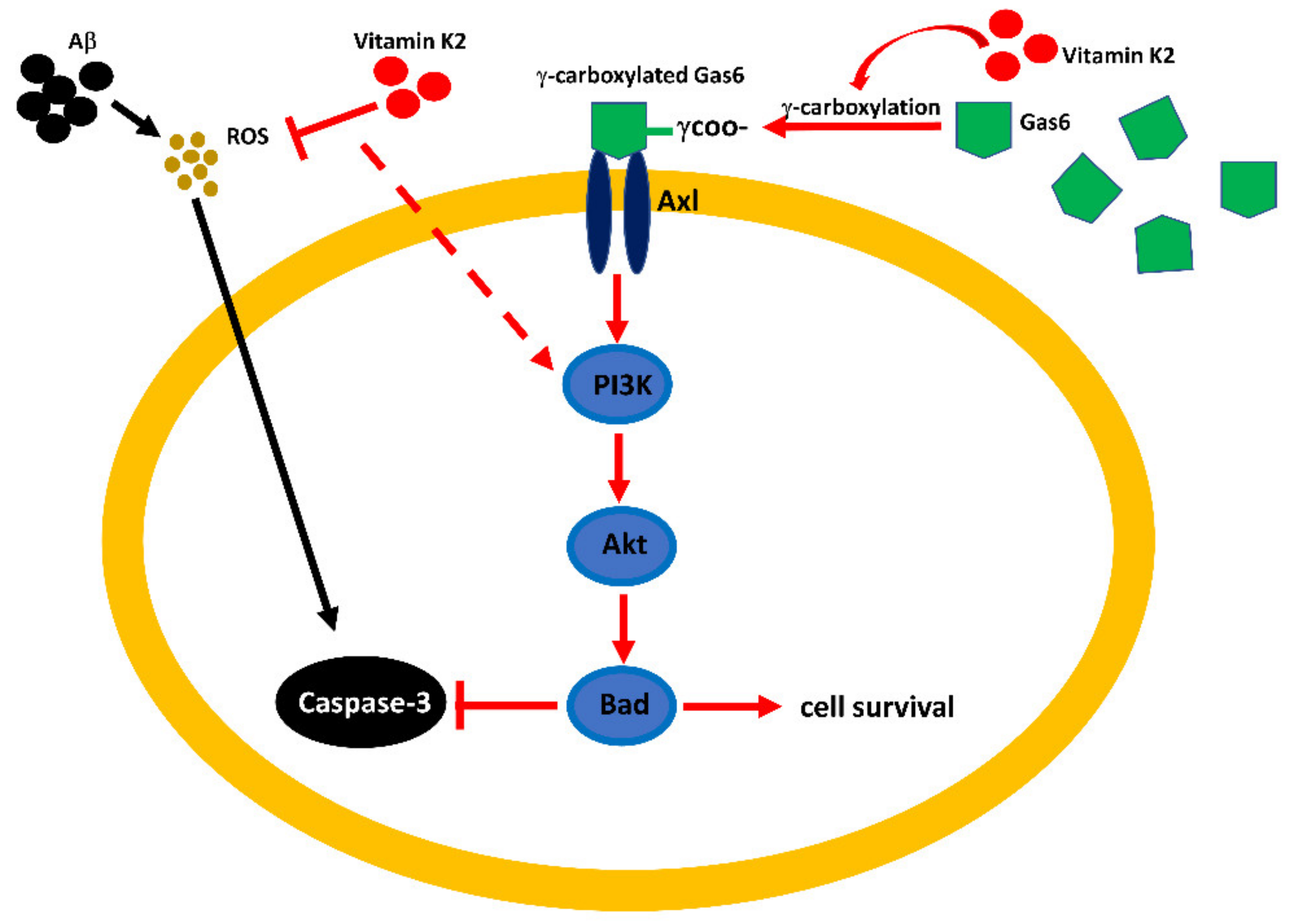 Biomolecules 11 00423 g009