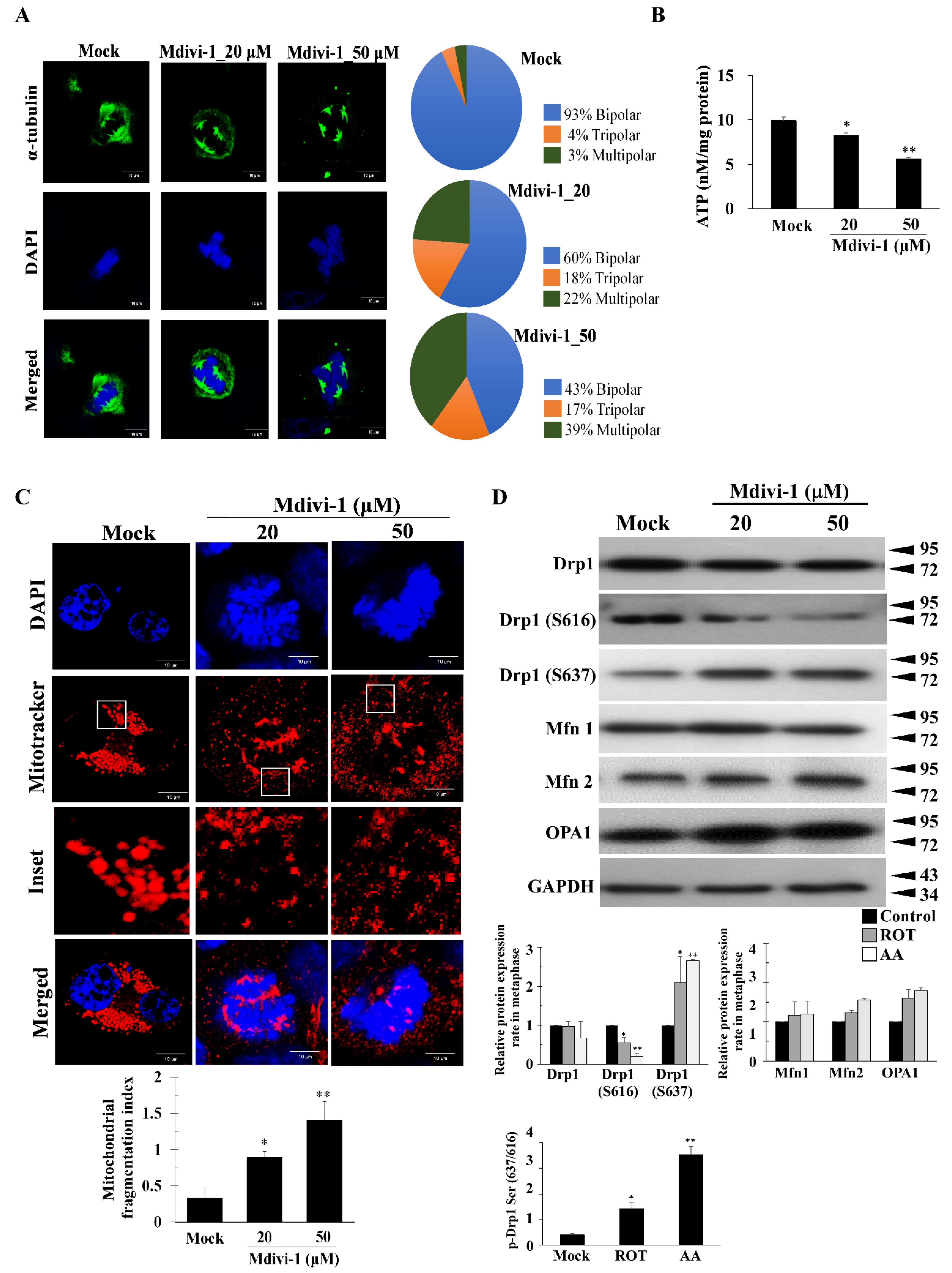 Biomolecules 11 00424 g002